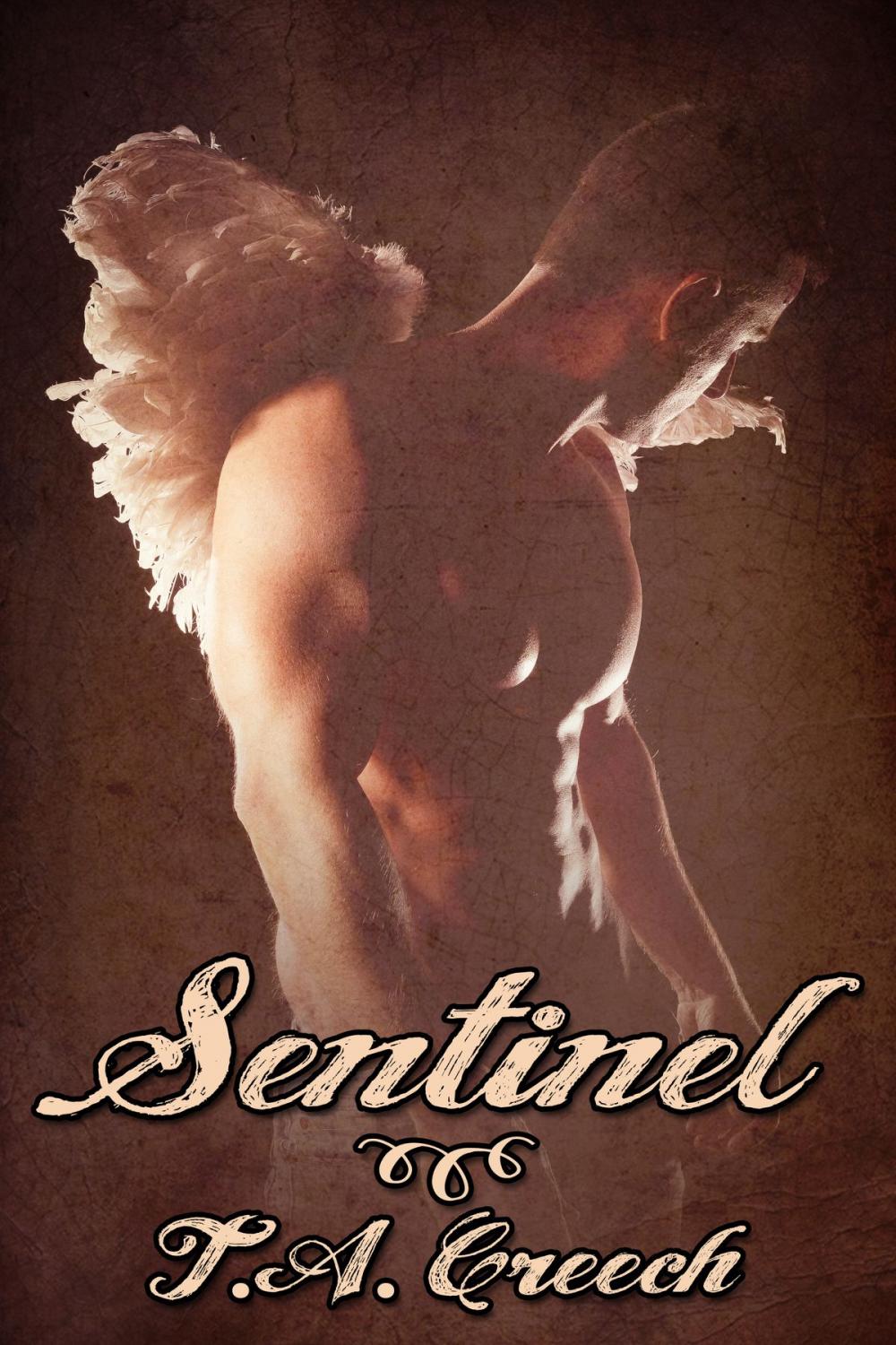 Big bigCover of Sentinel