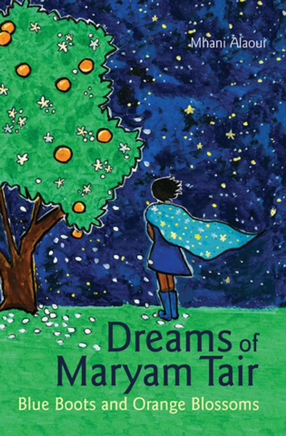 Big bigCover of Dreams of Maryam Tair