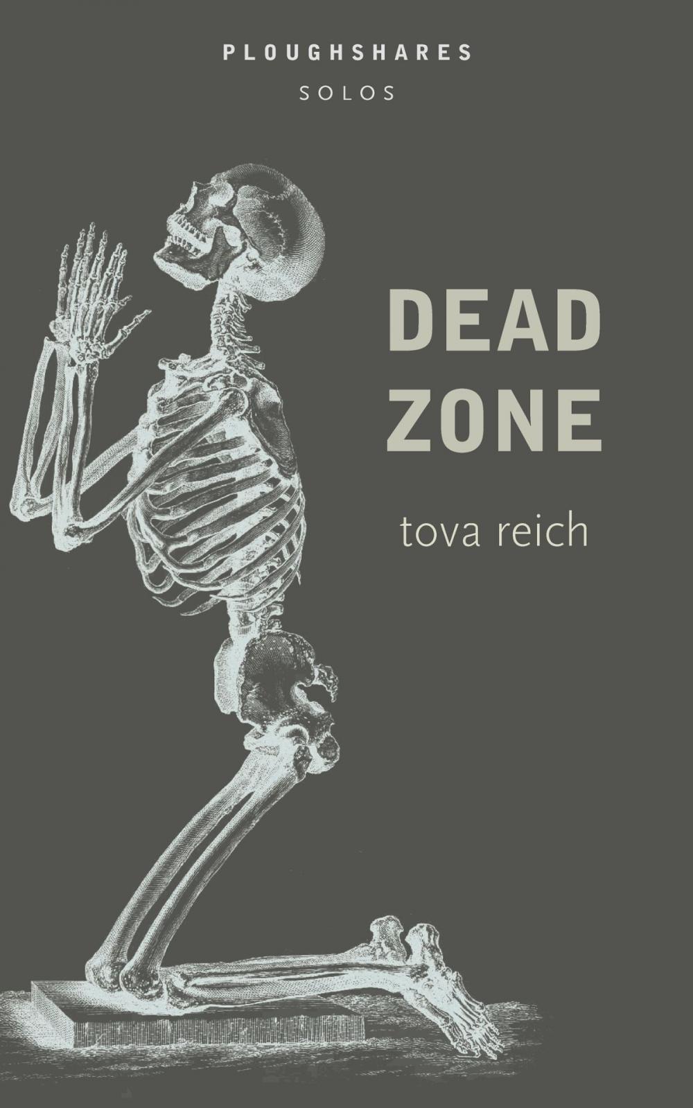 Big bigCover of Dead Zone (Ploughshares Solo)