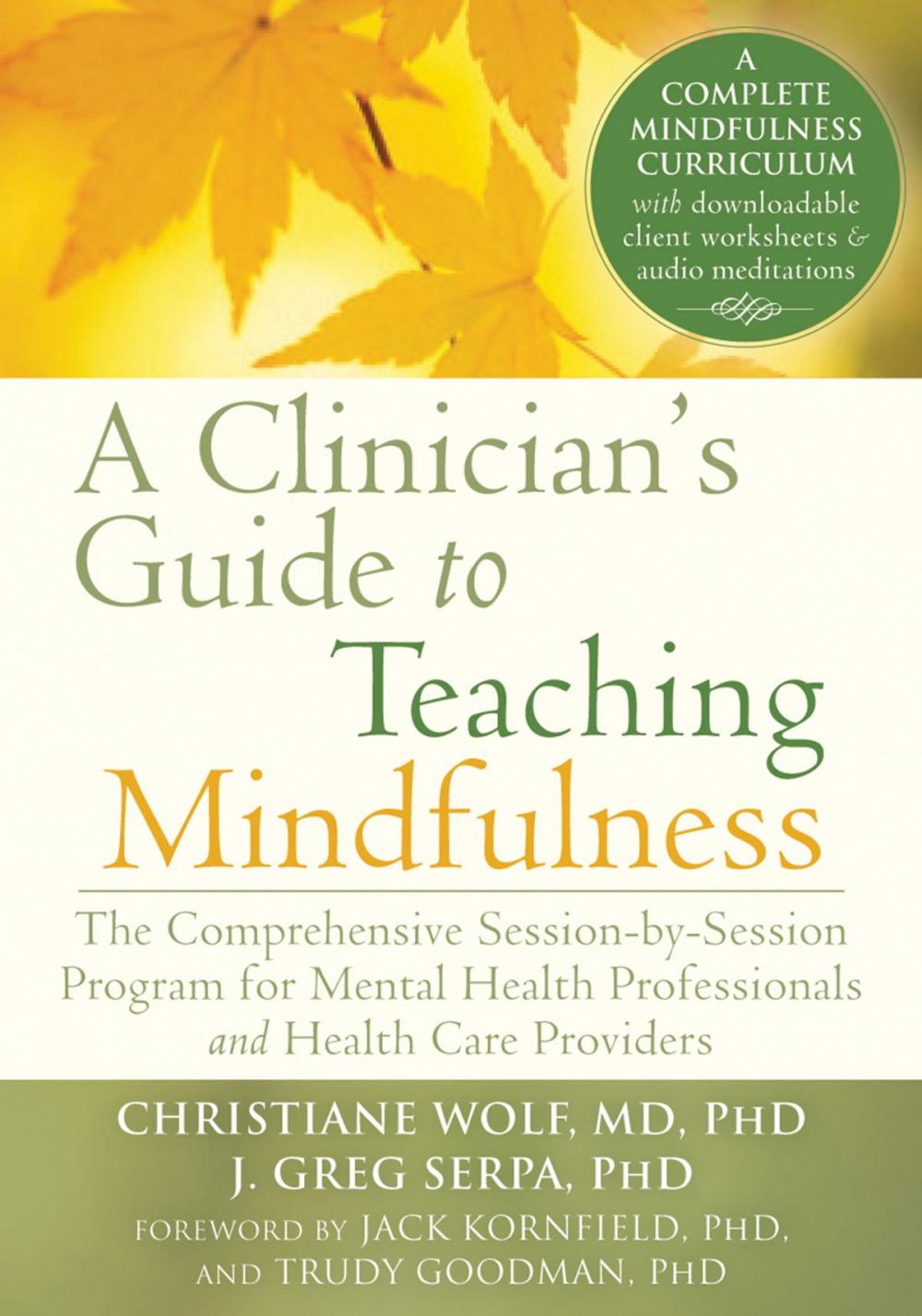 Big bigCover of A Clinician's Guide to Teaching Mindfulness