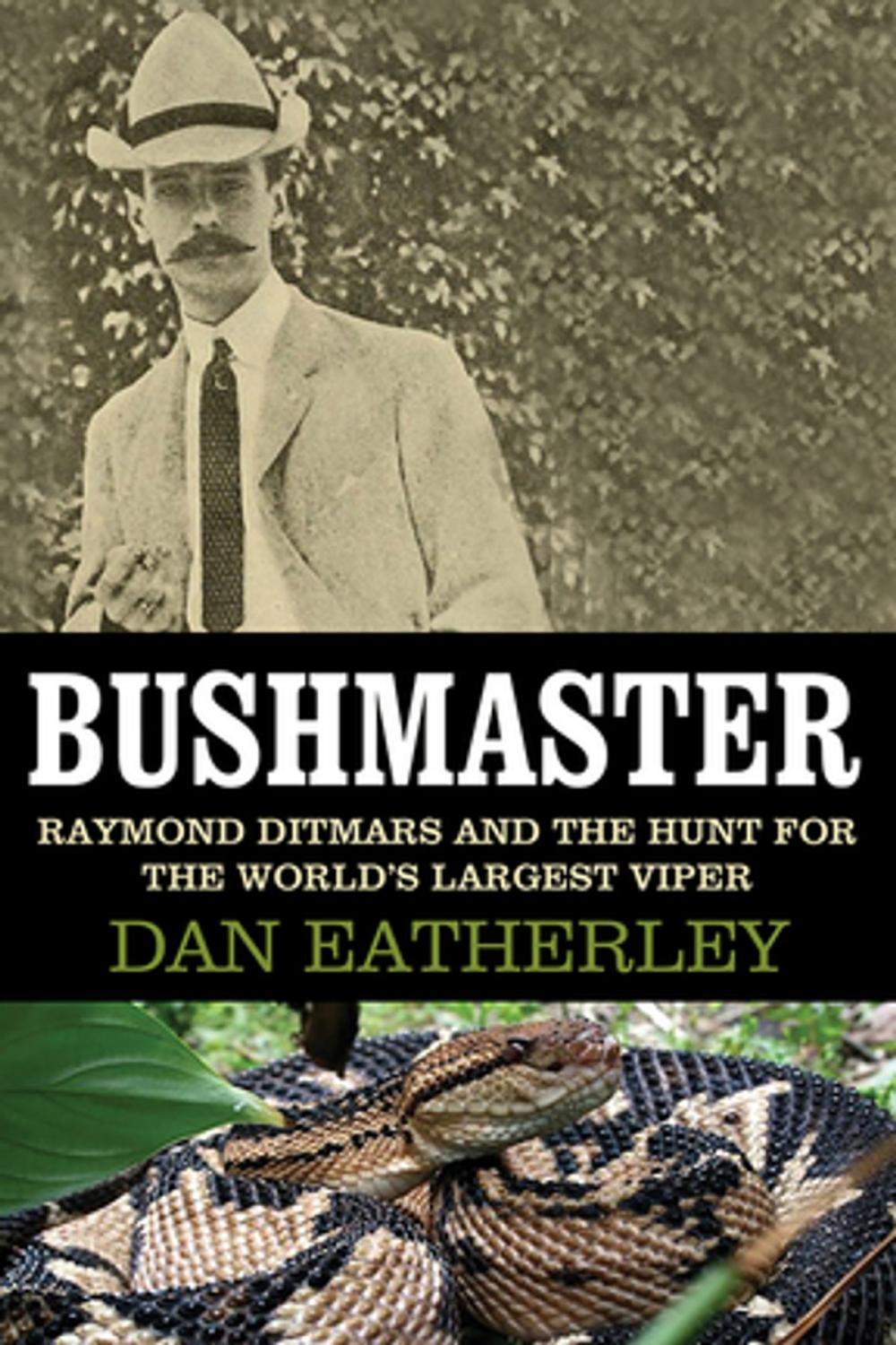 Big bigCover of Bushmaster