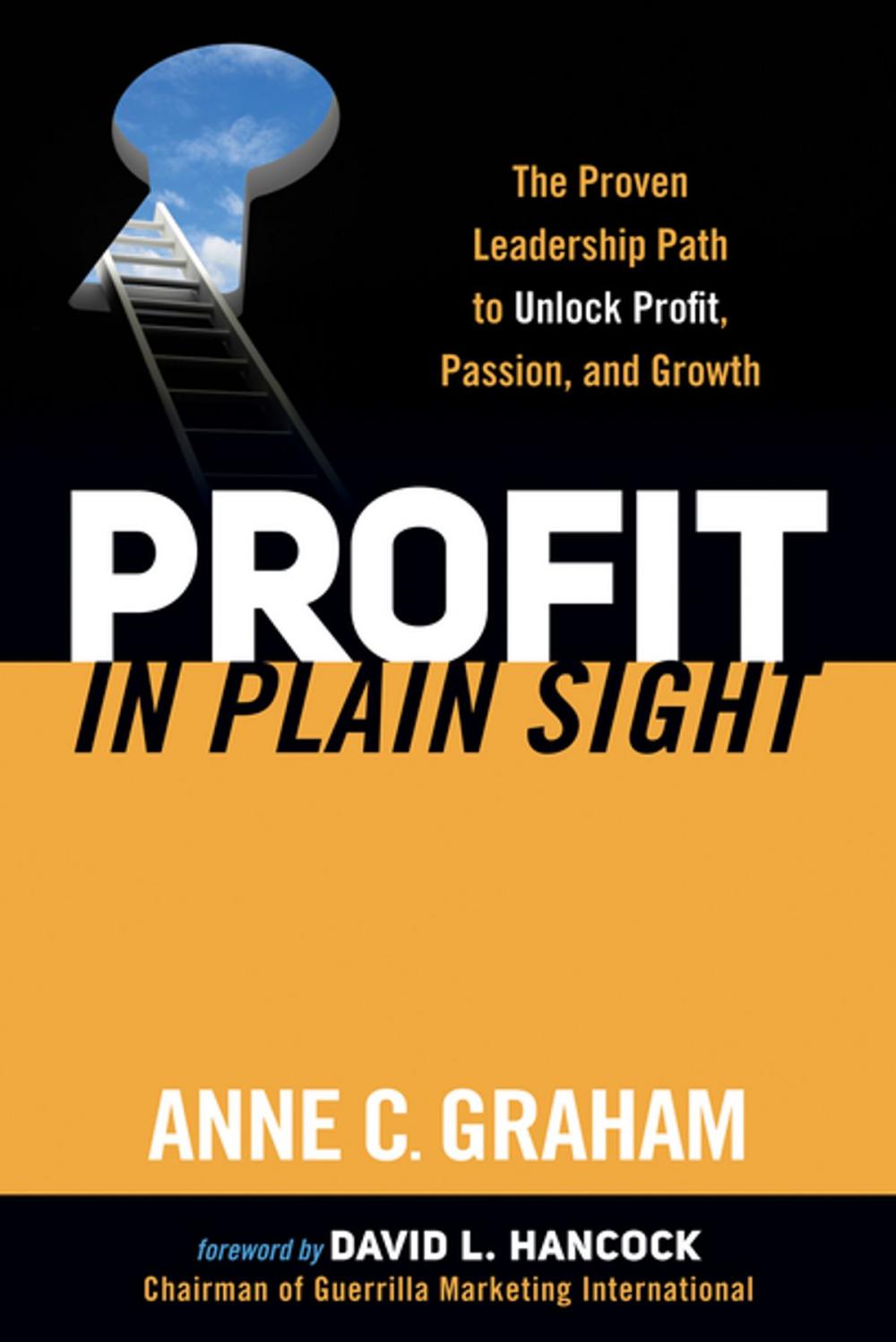 Big bigCover of Profit in Plain Sight