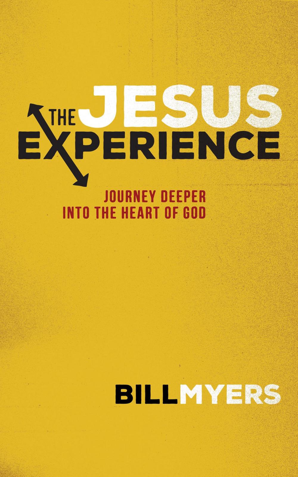 Big bigCover of The Jesus Experience