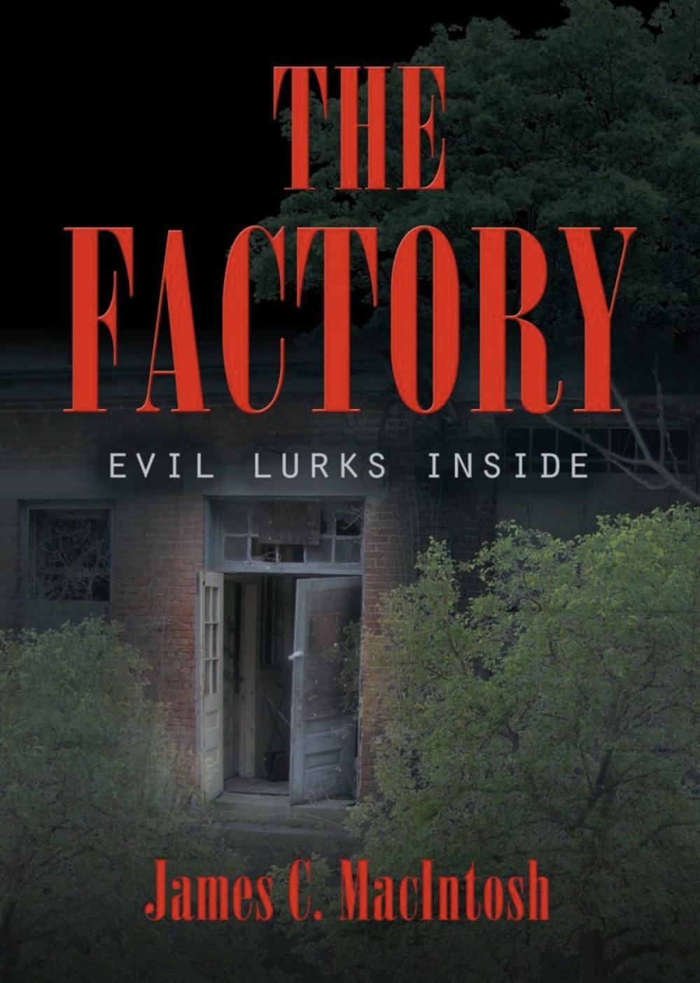 Big bigCover of THE FACTORY