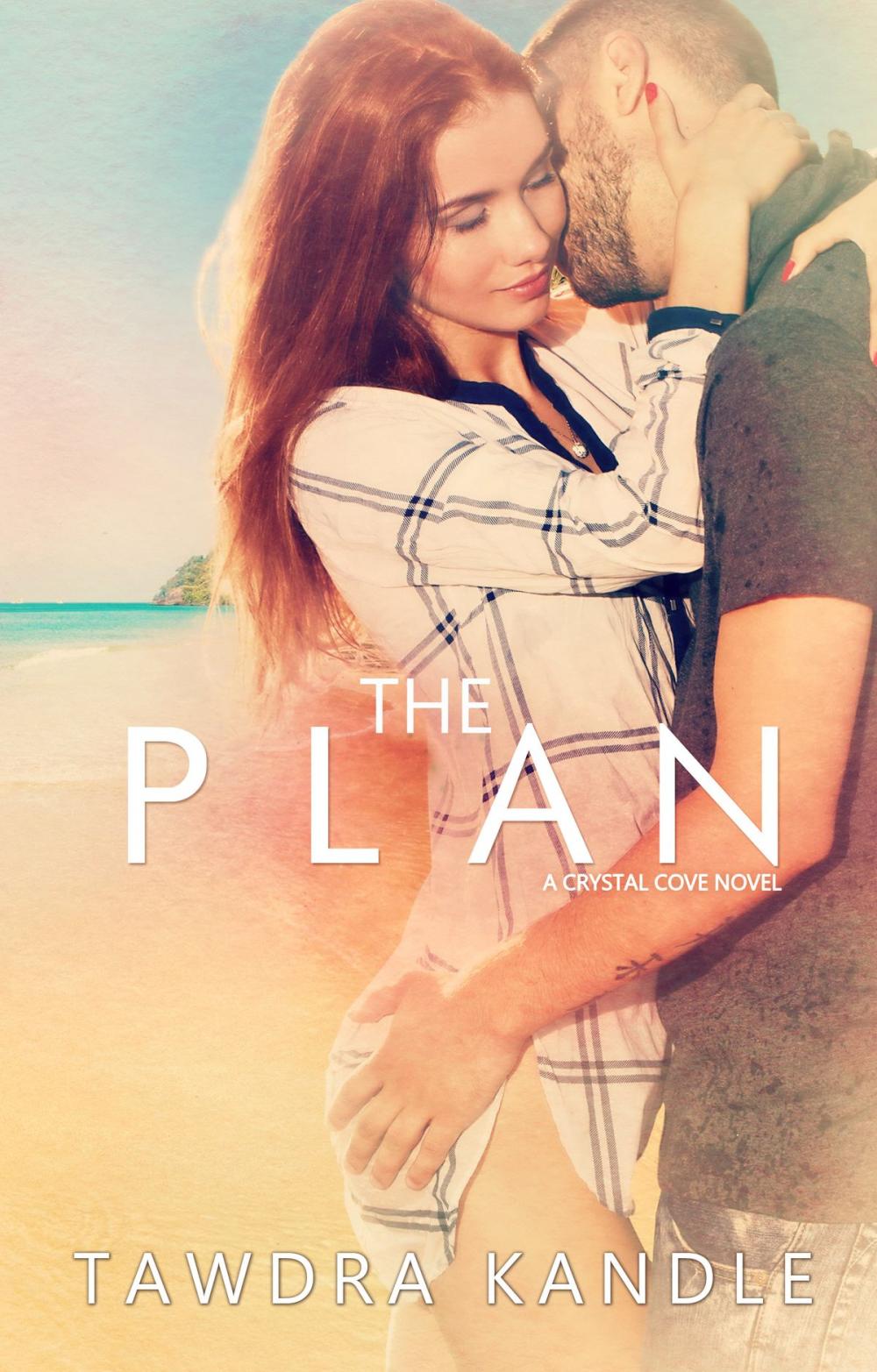 Big bigCover of The Plan