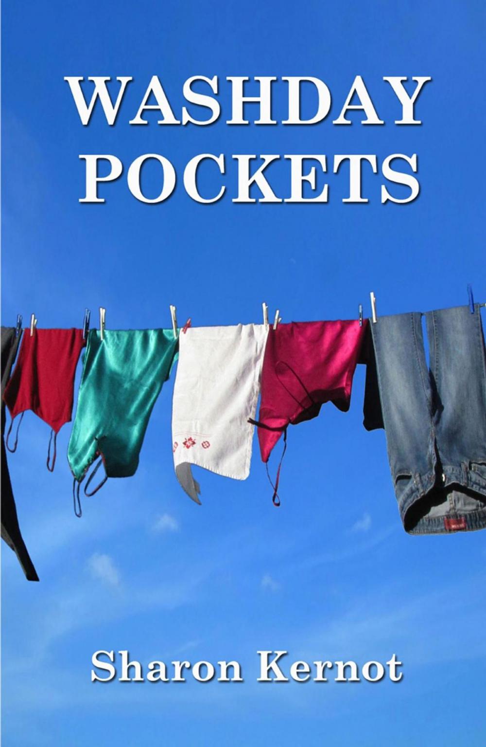 Big bigCover of Washday Pockets