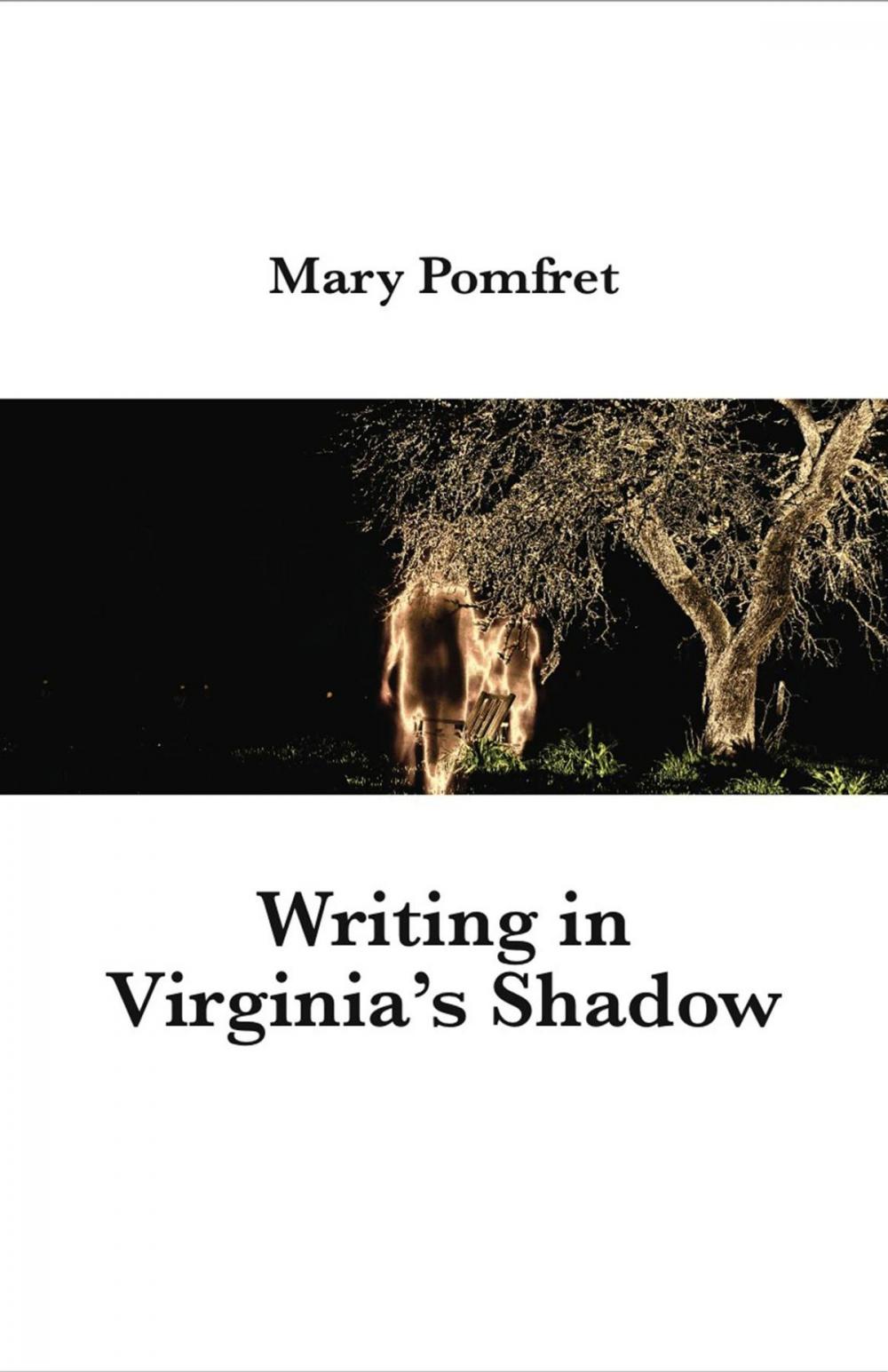 Big bigCover of Writing in Virginia's Shadow