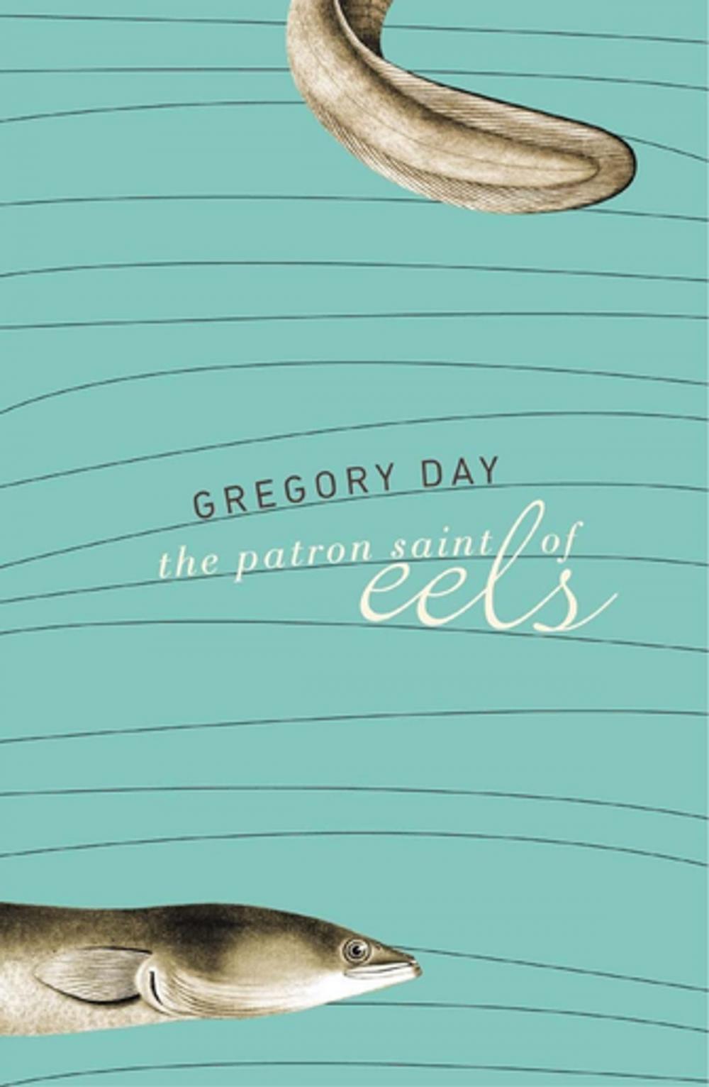 Big bigCover of The Patron Saint of Eels