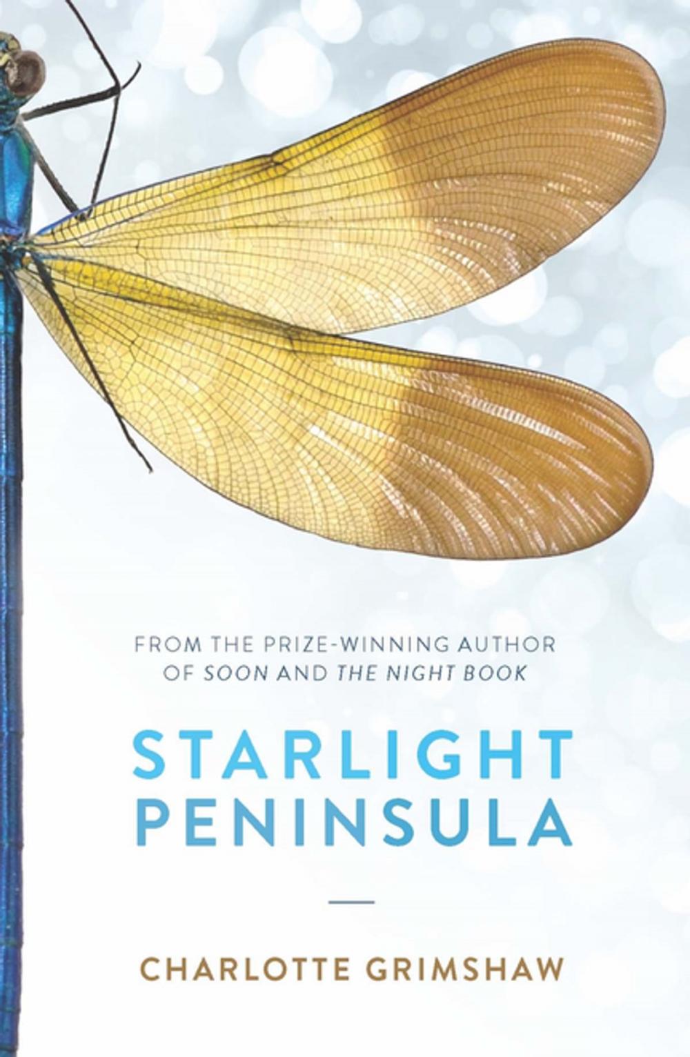 Big bigCover of Starlight Peninsula