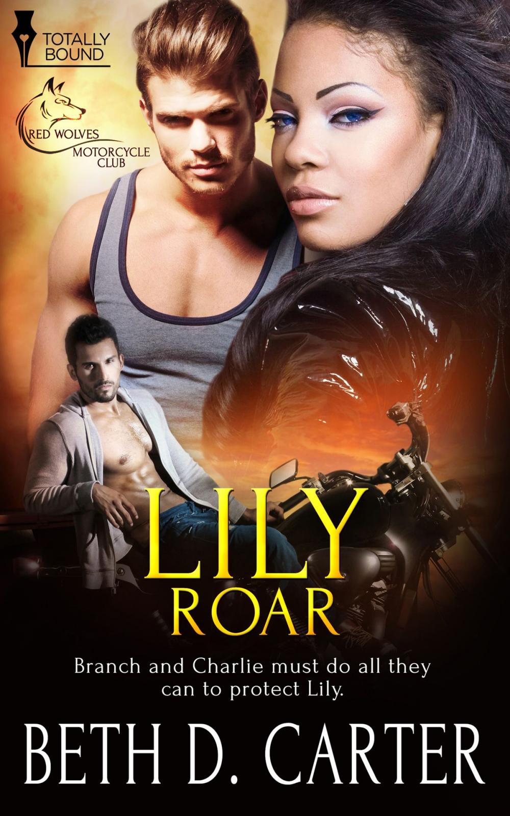 Big bigCover of Lily Roar