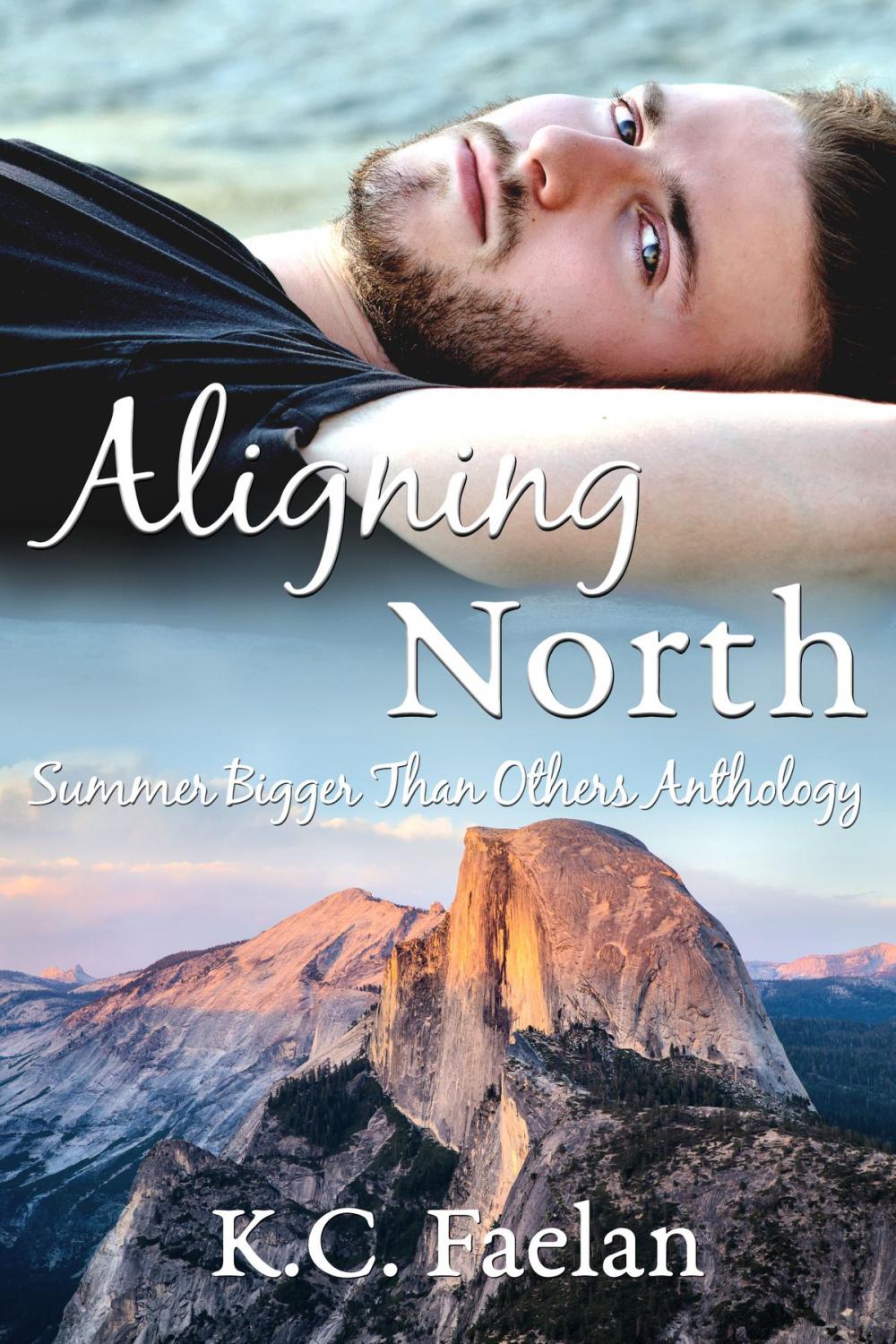 Big bigCover of Aligning North