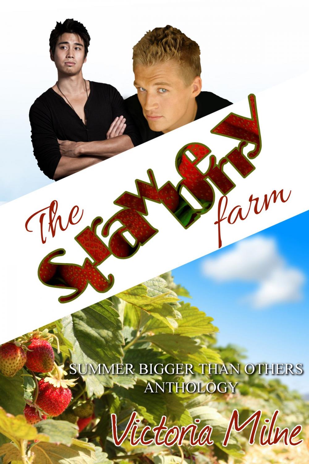 Big bigCover of The Strawberry Farm