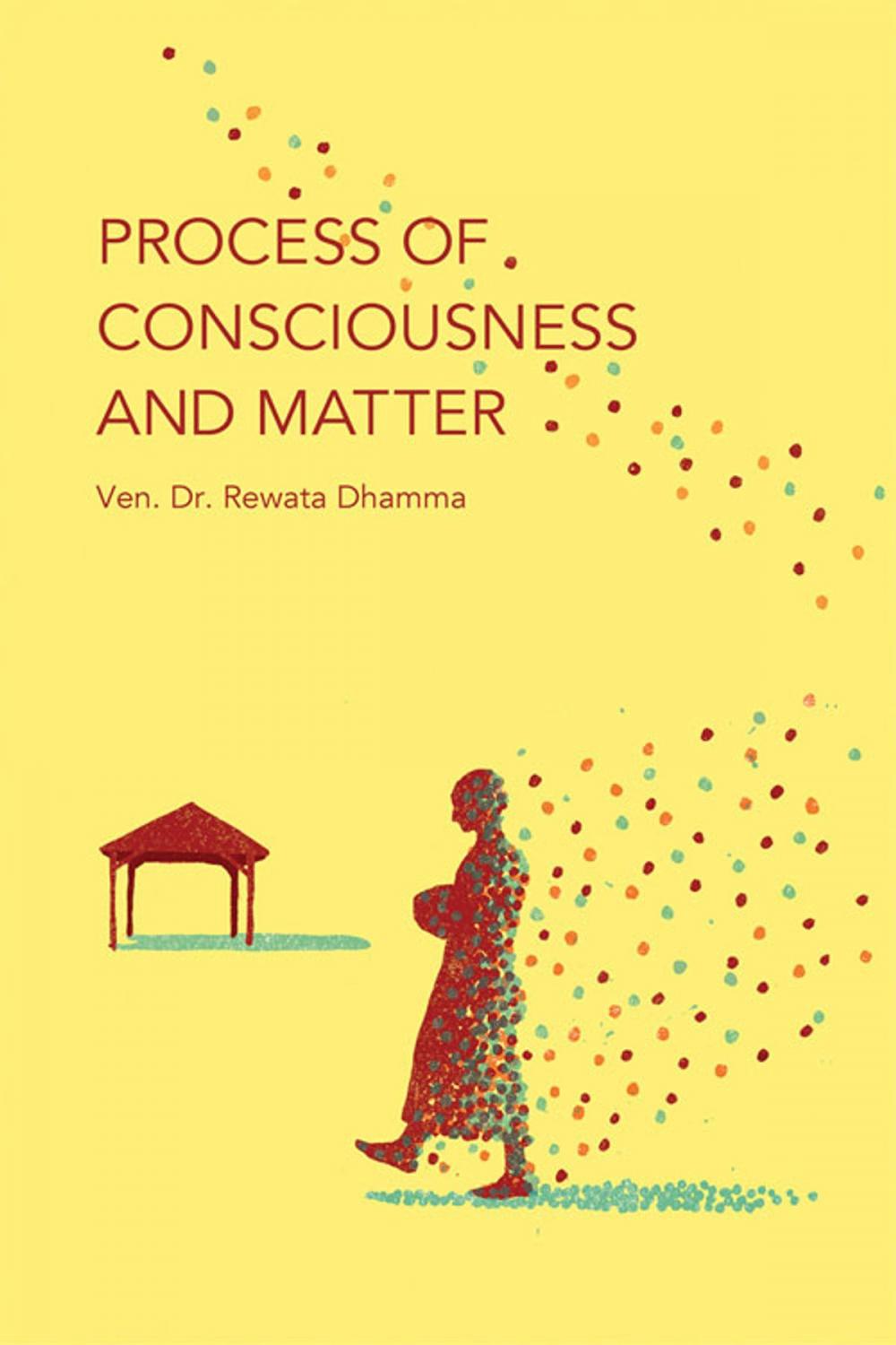 Big bigCover of Process of Consciousness and Matter