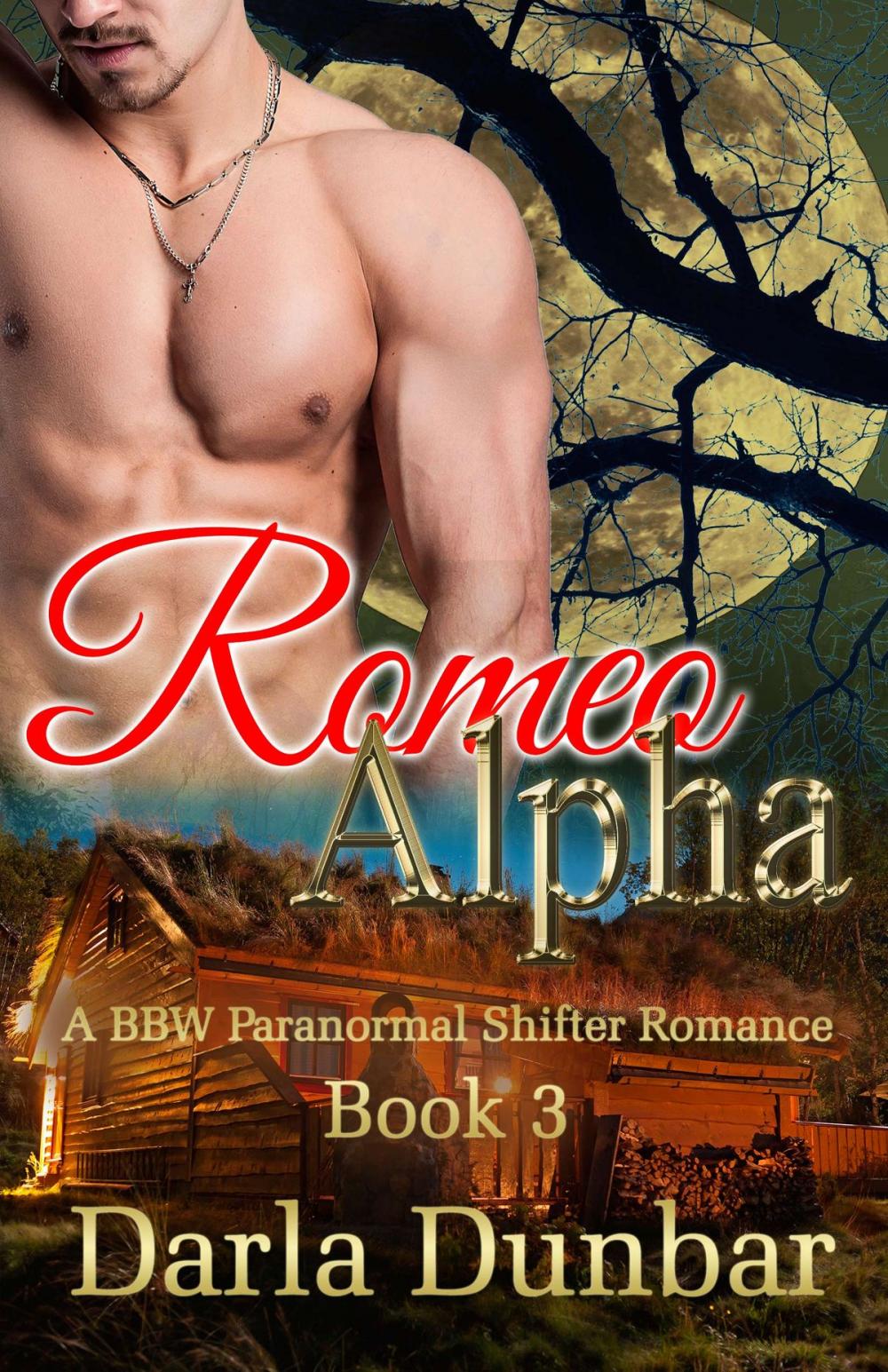 Big bigCover of Romeo Alpha - Book 3