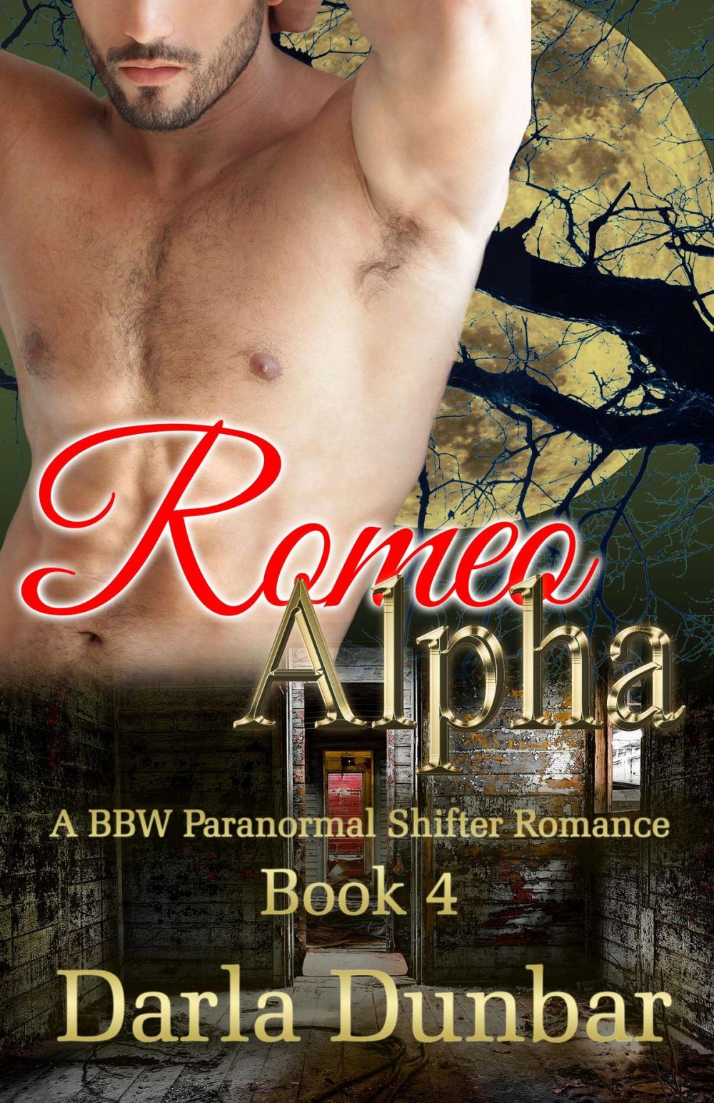 Big bigCover of Romeo Alpha - Book 4