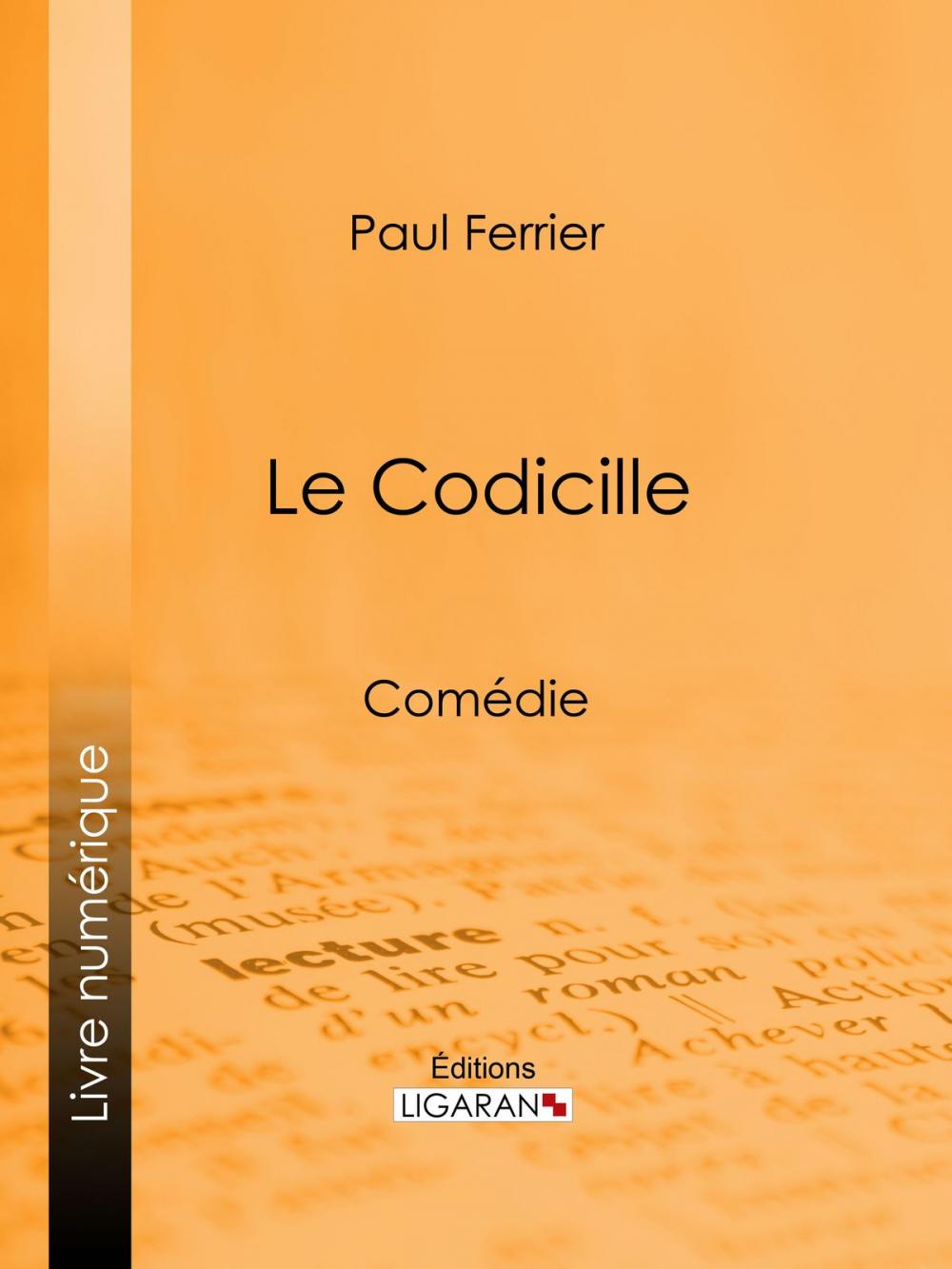 Big bigCover of Le Codicille