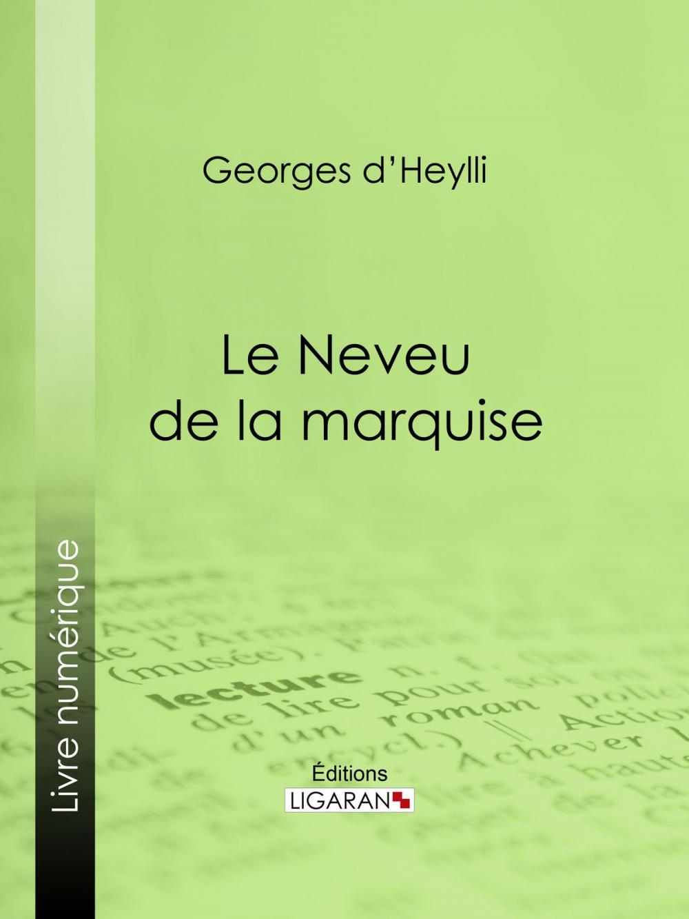 Big bigCover of Le Neveu de la marquise