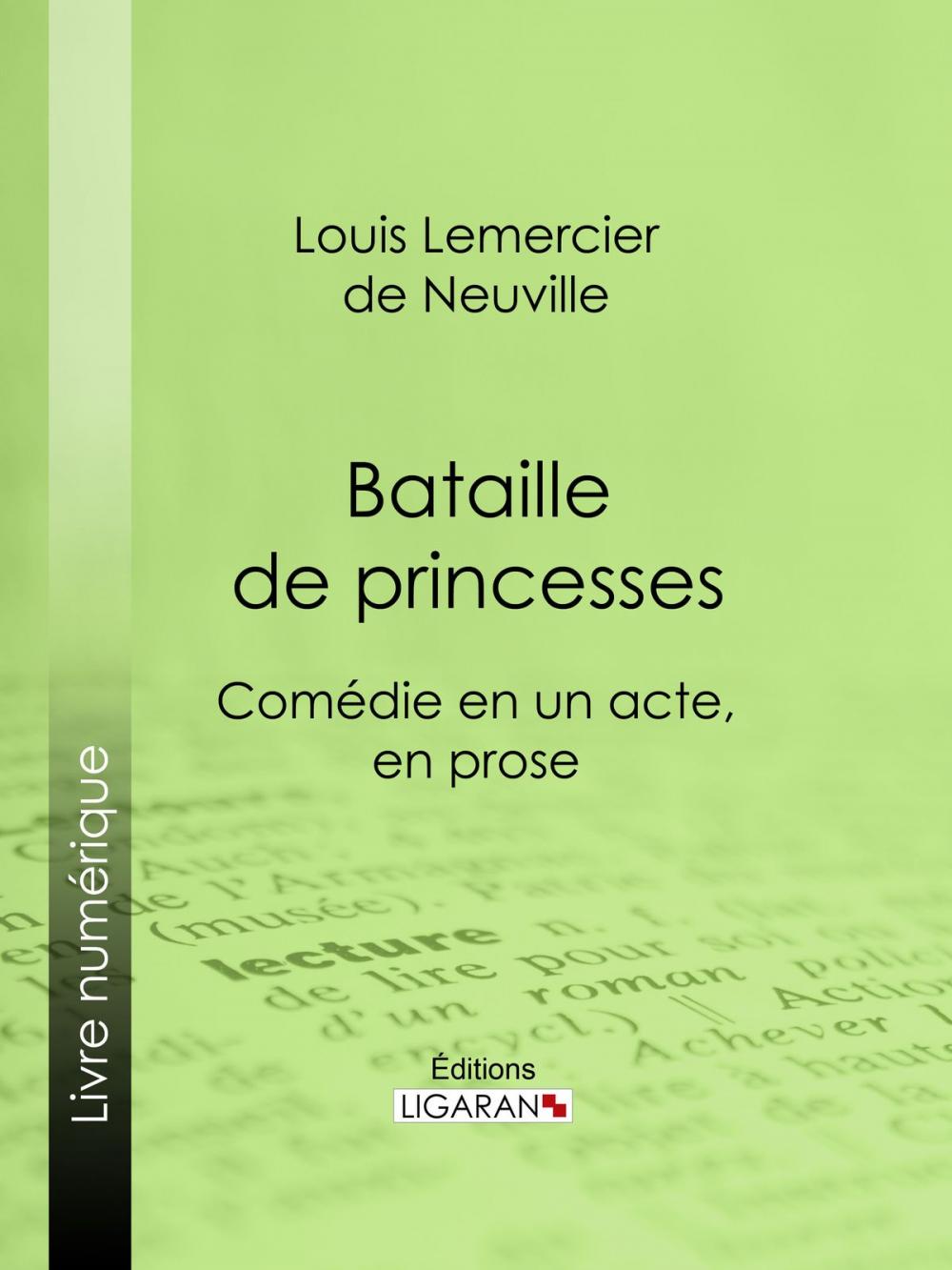 Big bigCover of Bataille de princesses