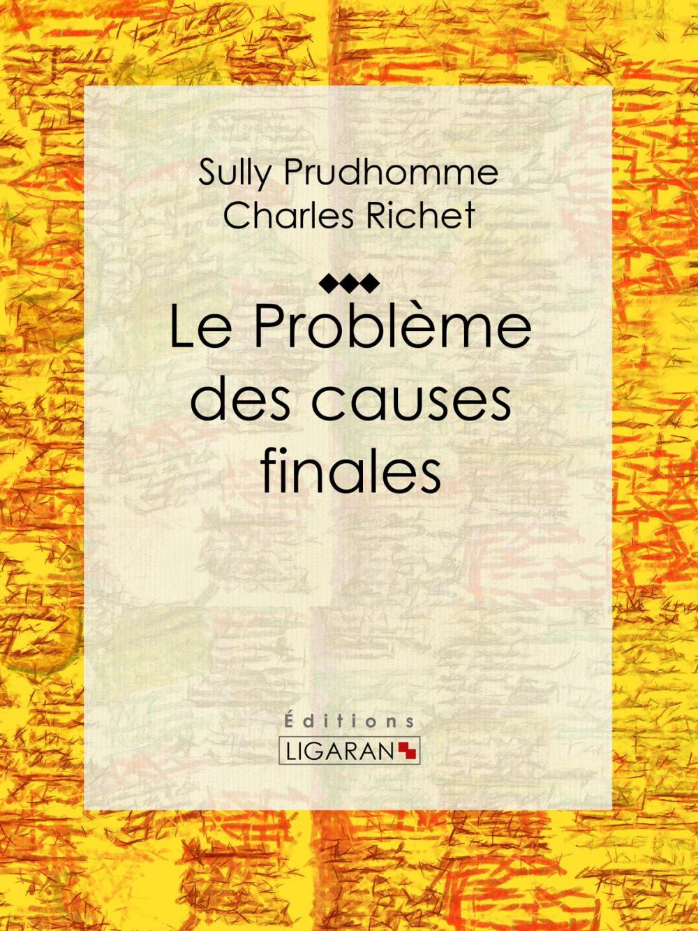 Big bigCover of Le Problème des causes finales