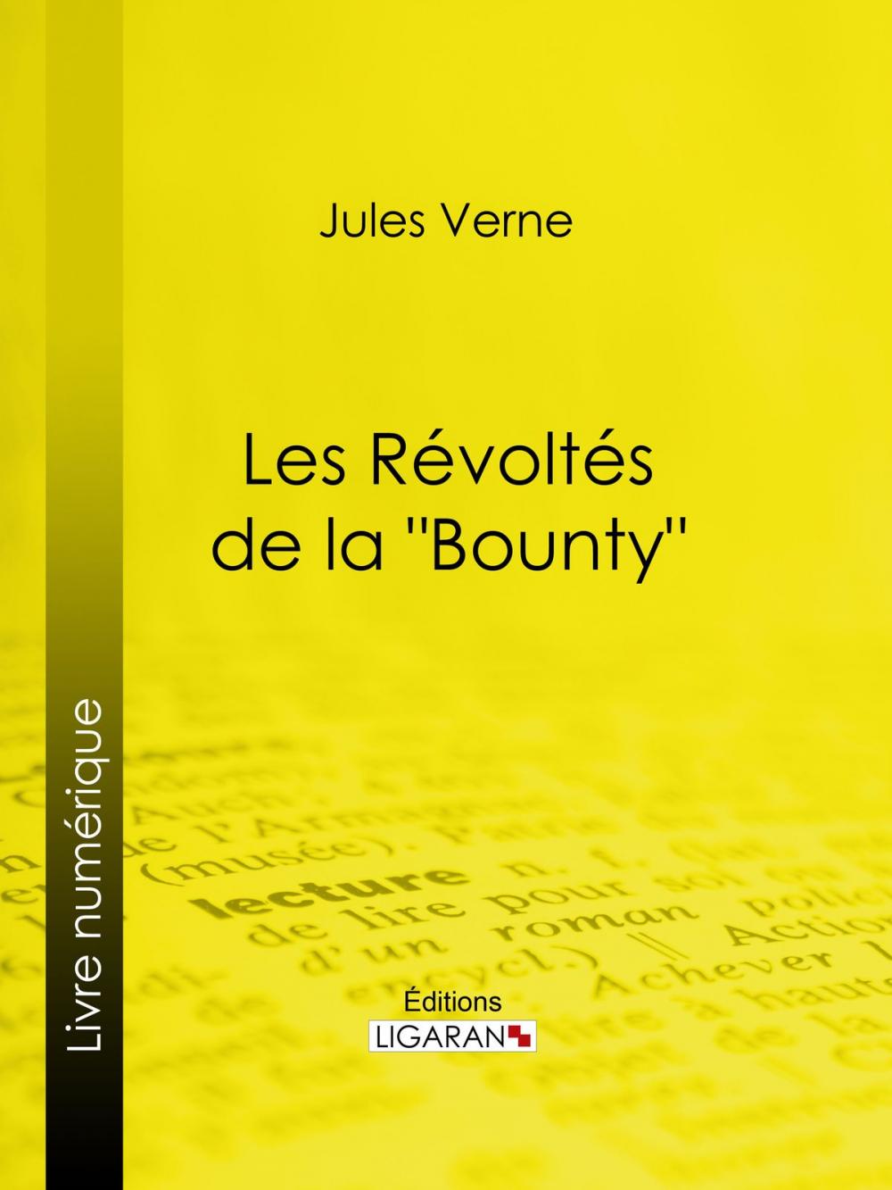 Big bigCover of Les Révoltés de la "Bounty"