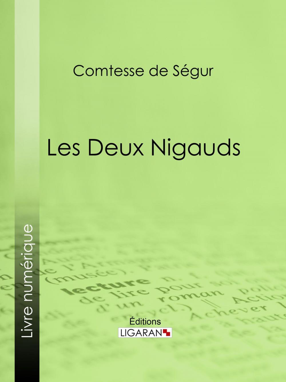 Big bigCover of Les deux nigauds