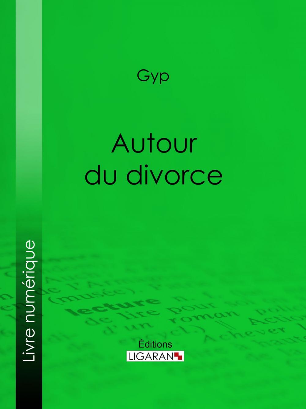 Big bigCover of Autour du divorce