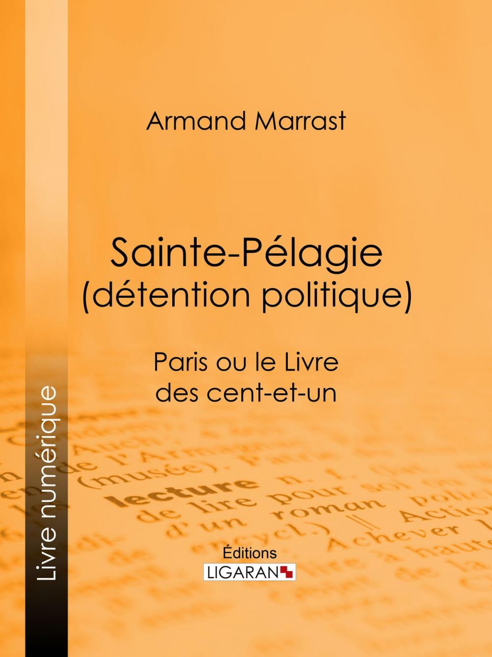 Big bigCover of Sainte-Pélagie (détention politique)