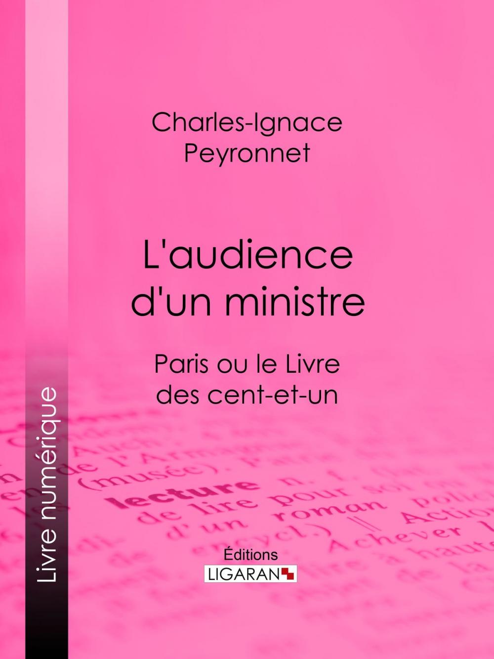 Big bigCover of L'audience d'un ministre