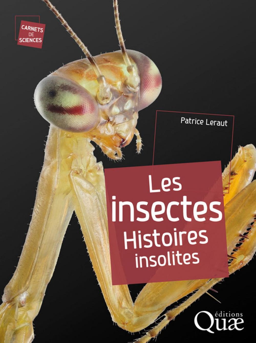 Big bigCover of Les insectes