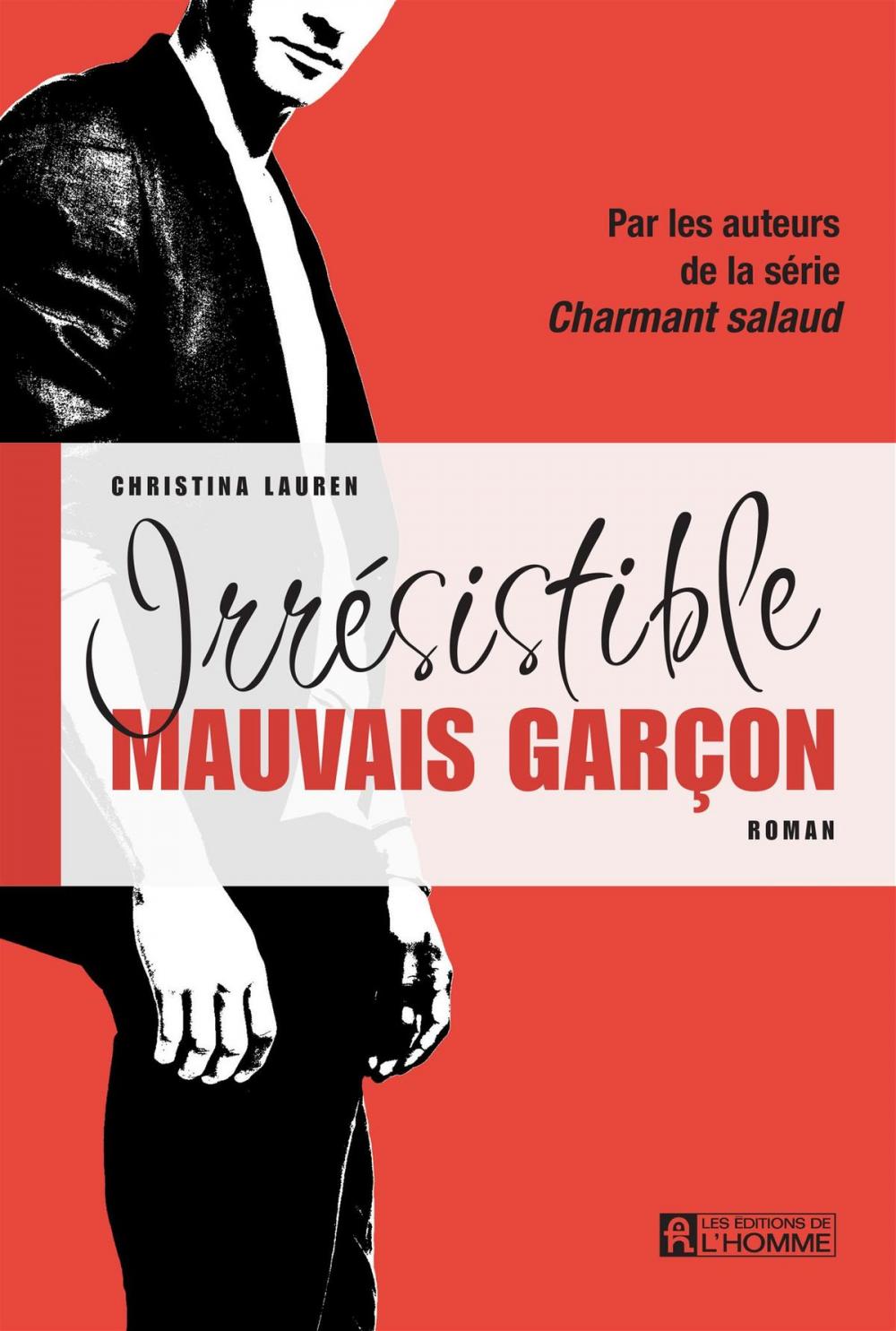 Big bigCover of Irrésistible mauvais garçon