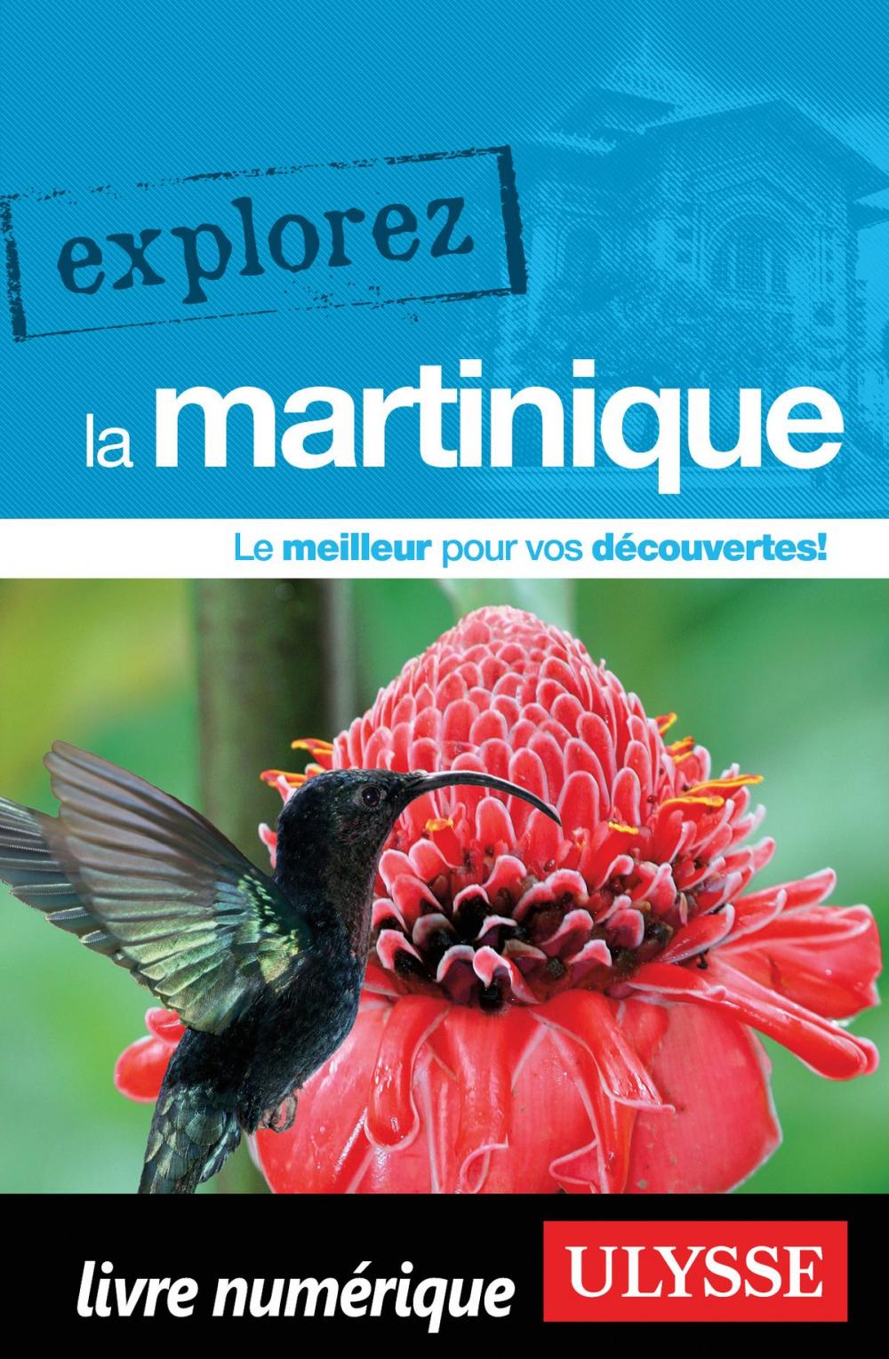 Big bigCover of Explorez la Martinique