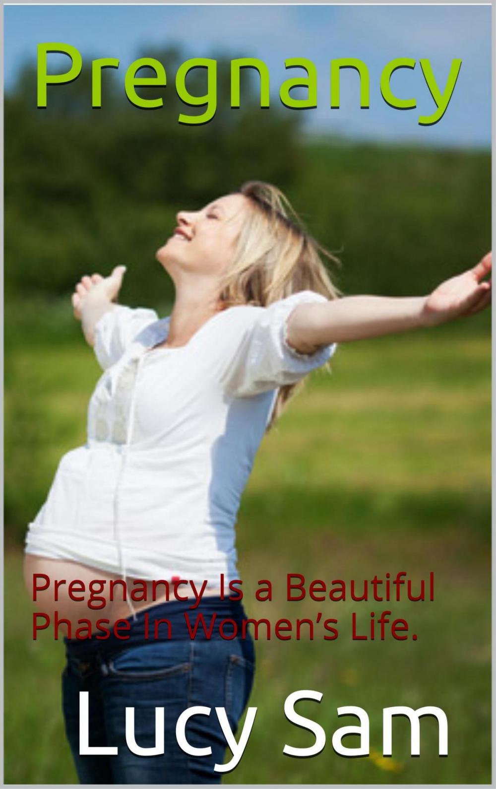 Big bigCover of Pregnancy