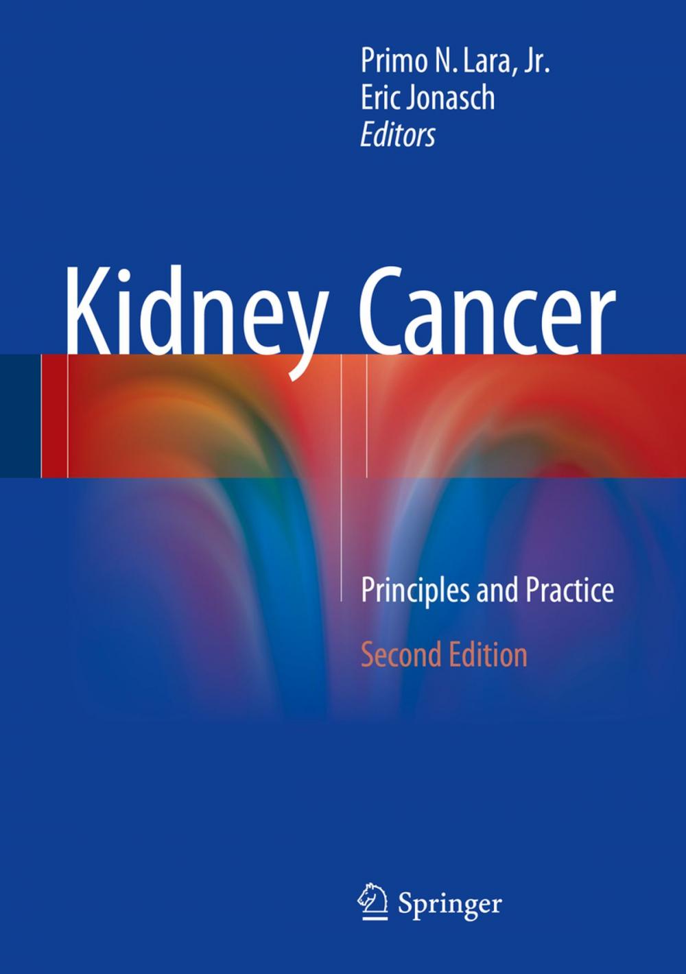 Big bigCover of Kidney Cancer