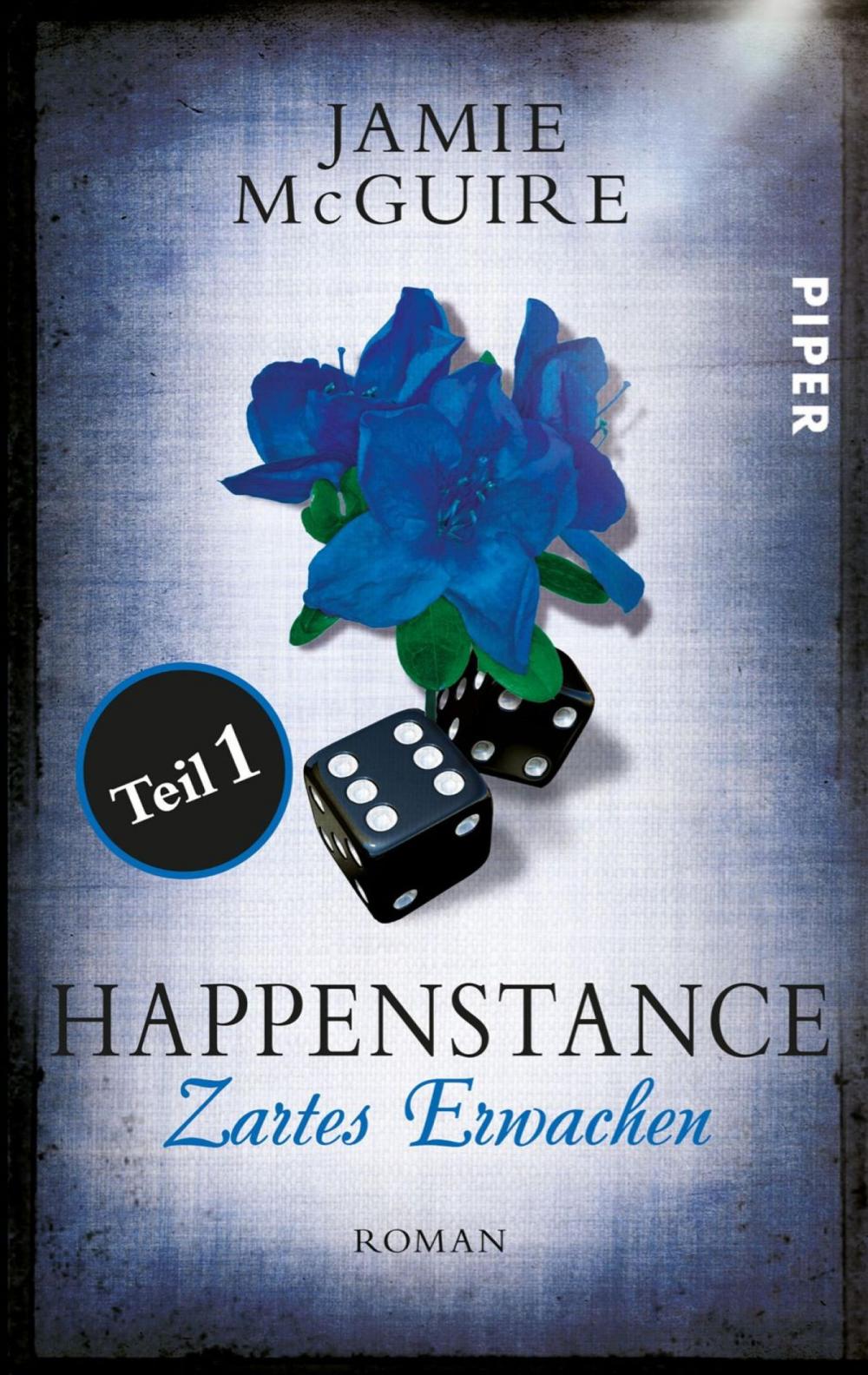 Big bigCover of Happenstance Teil 1