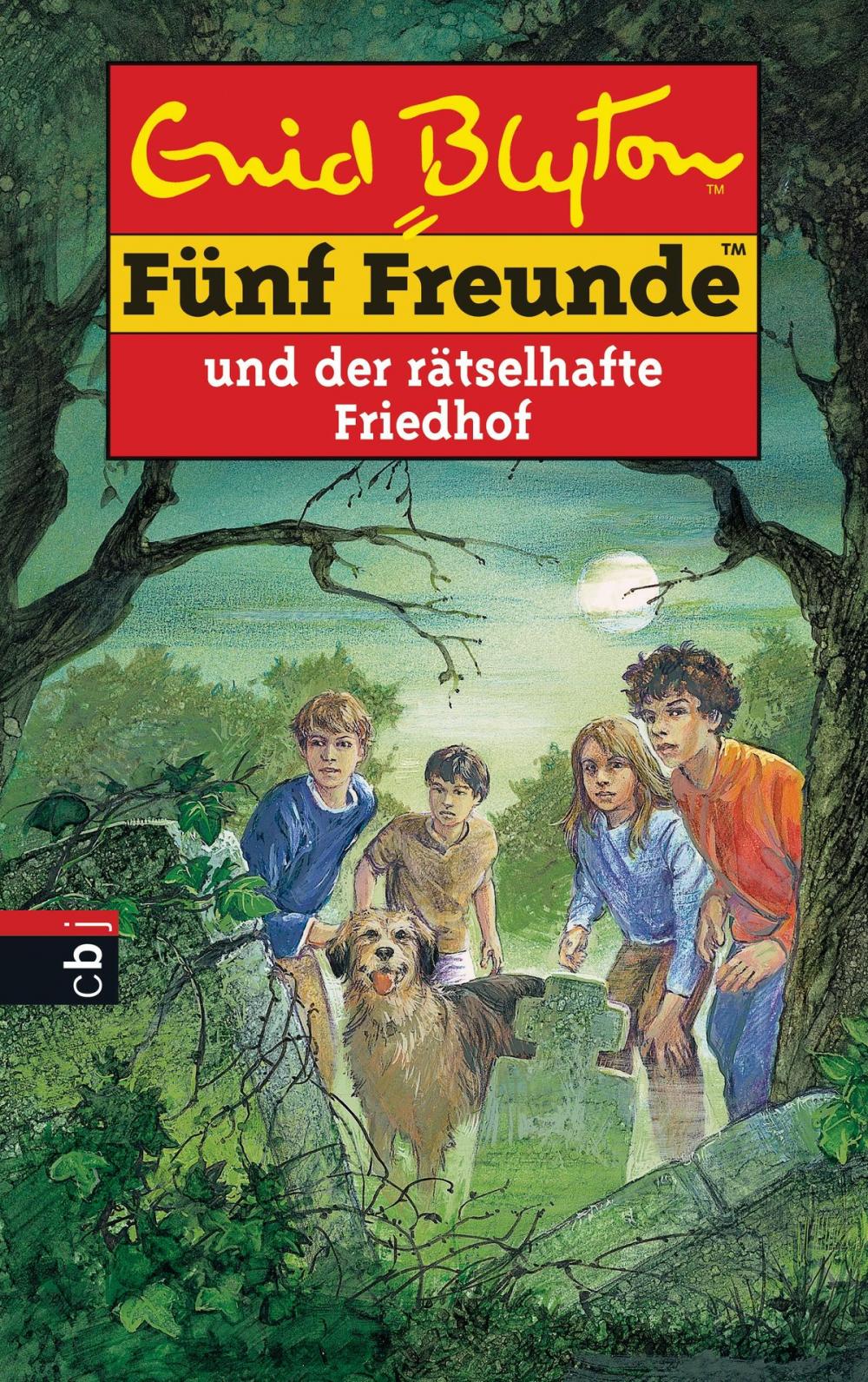 Big bigCover of Fünf Freunde und der rätselhafte Friedhof