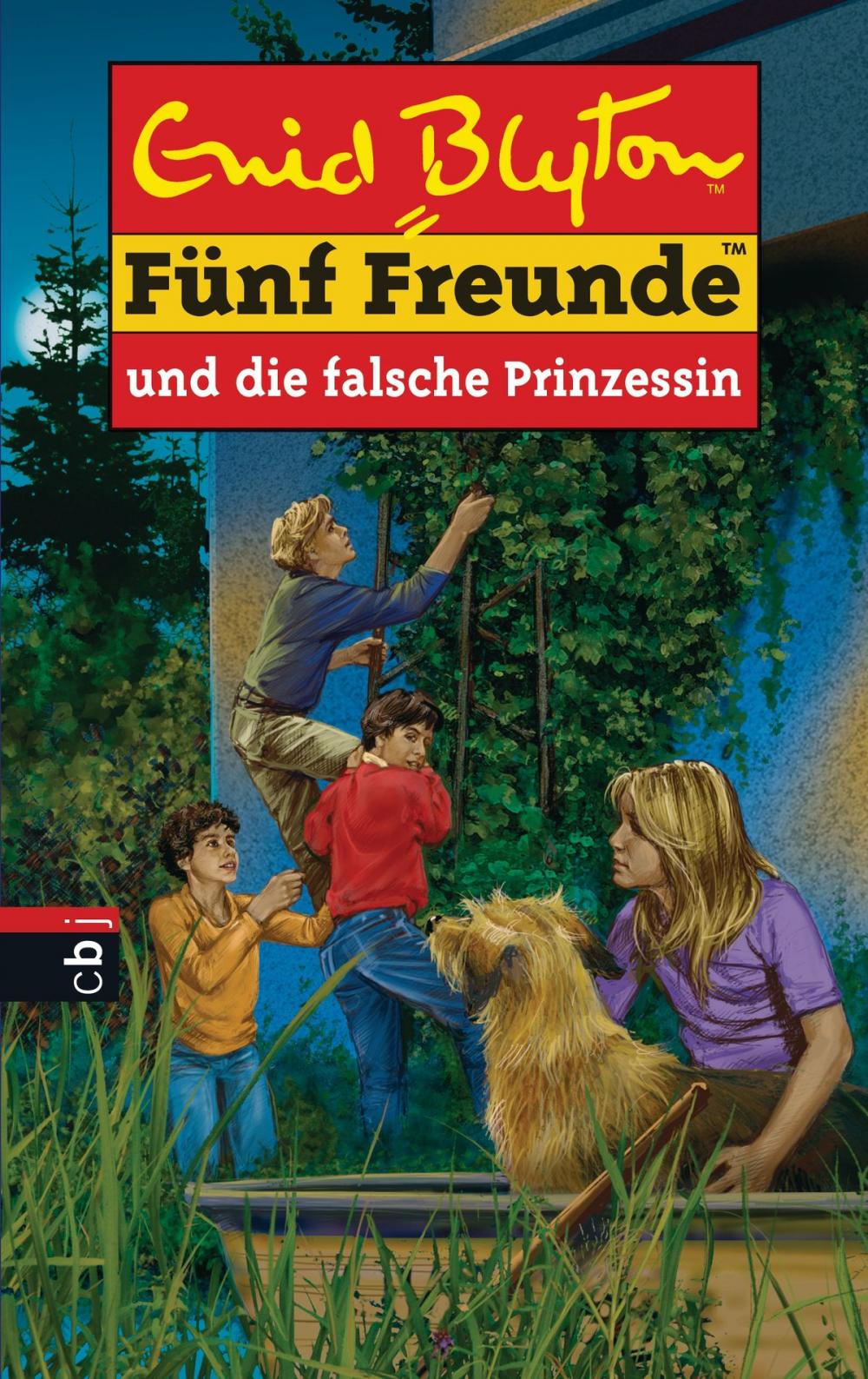 Big bigCover of Fünf Freunde und die falsche Prinzessin