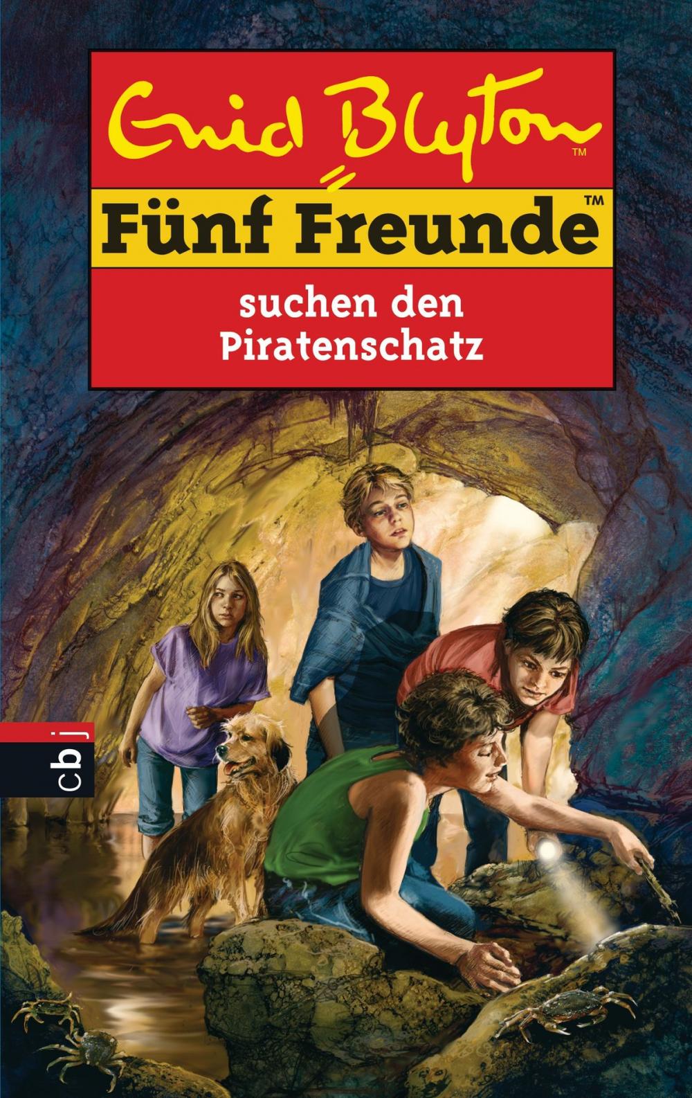 Big bigCover of Fünf Freunde suchen den Piratenschatz