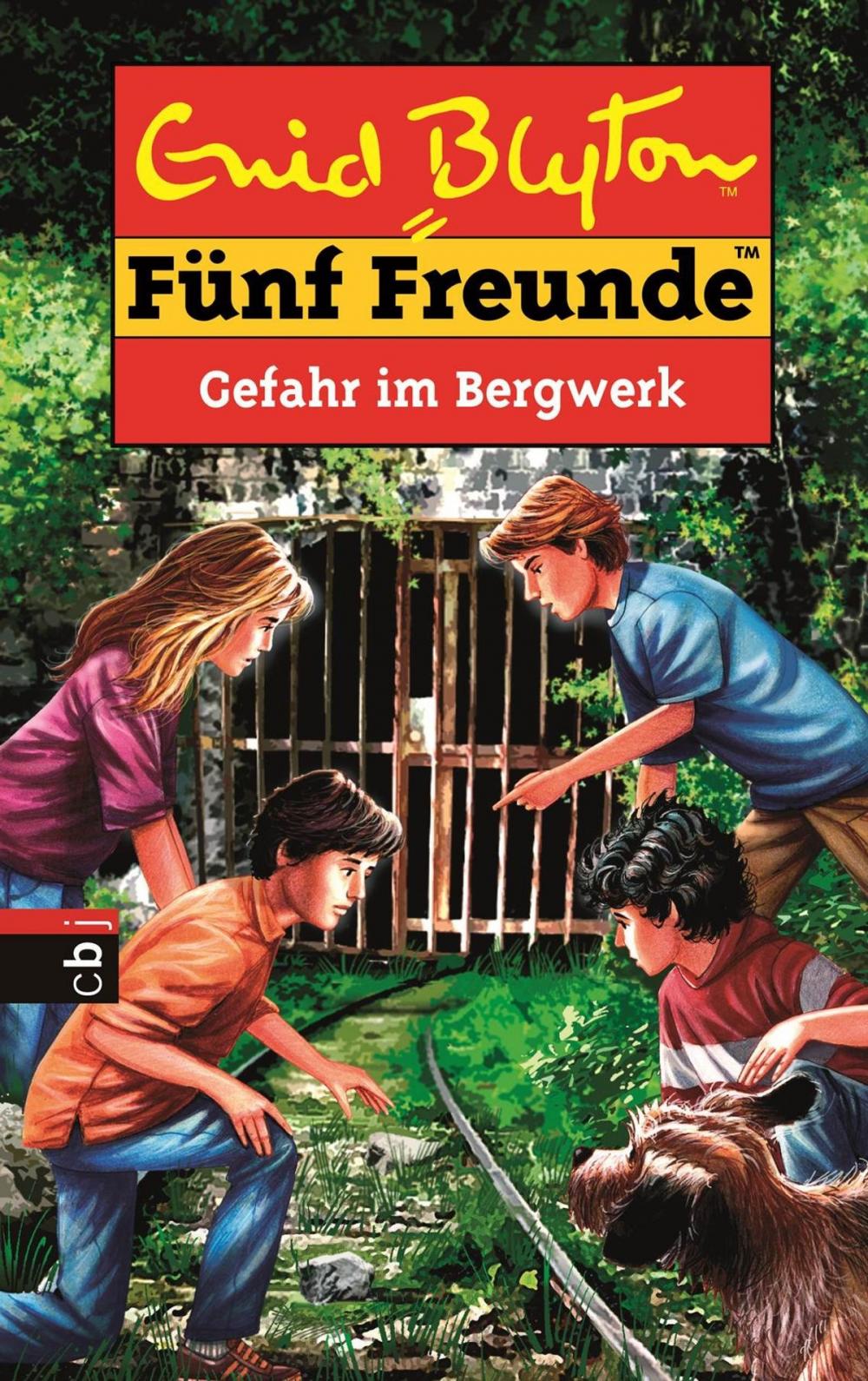 Big bigCover of Fünf Freunde - Gefahr im Bergwerk