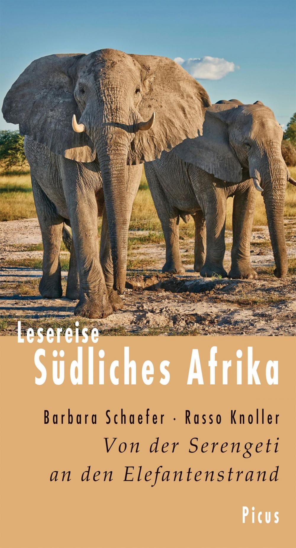 Big bigCover of Lesereise Südliches Afrika