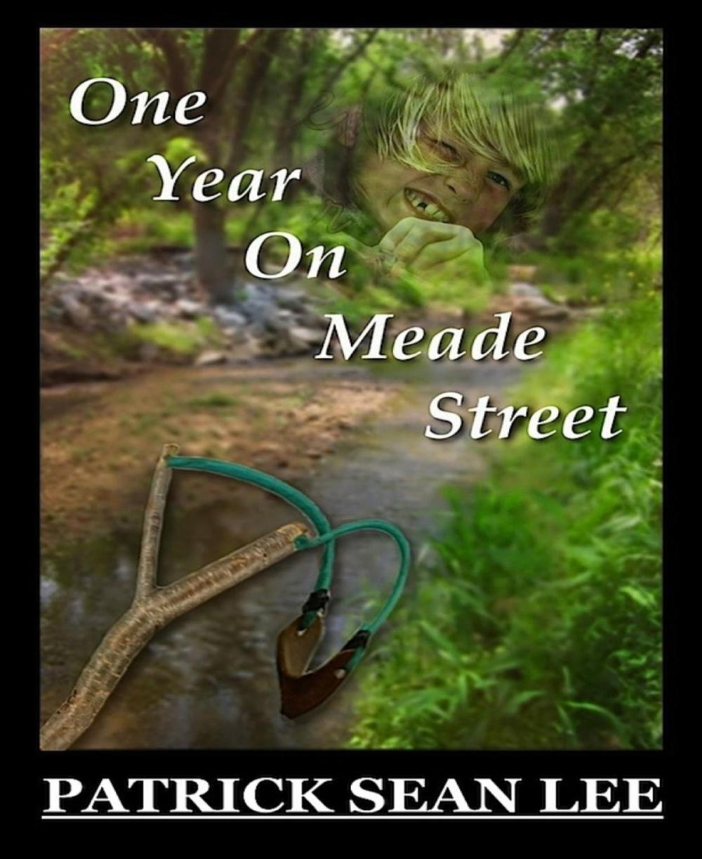 Big bigCover of One Year On Meade Street