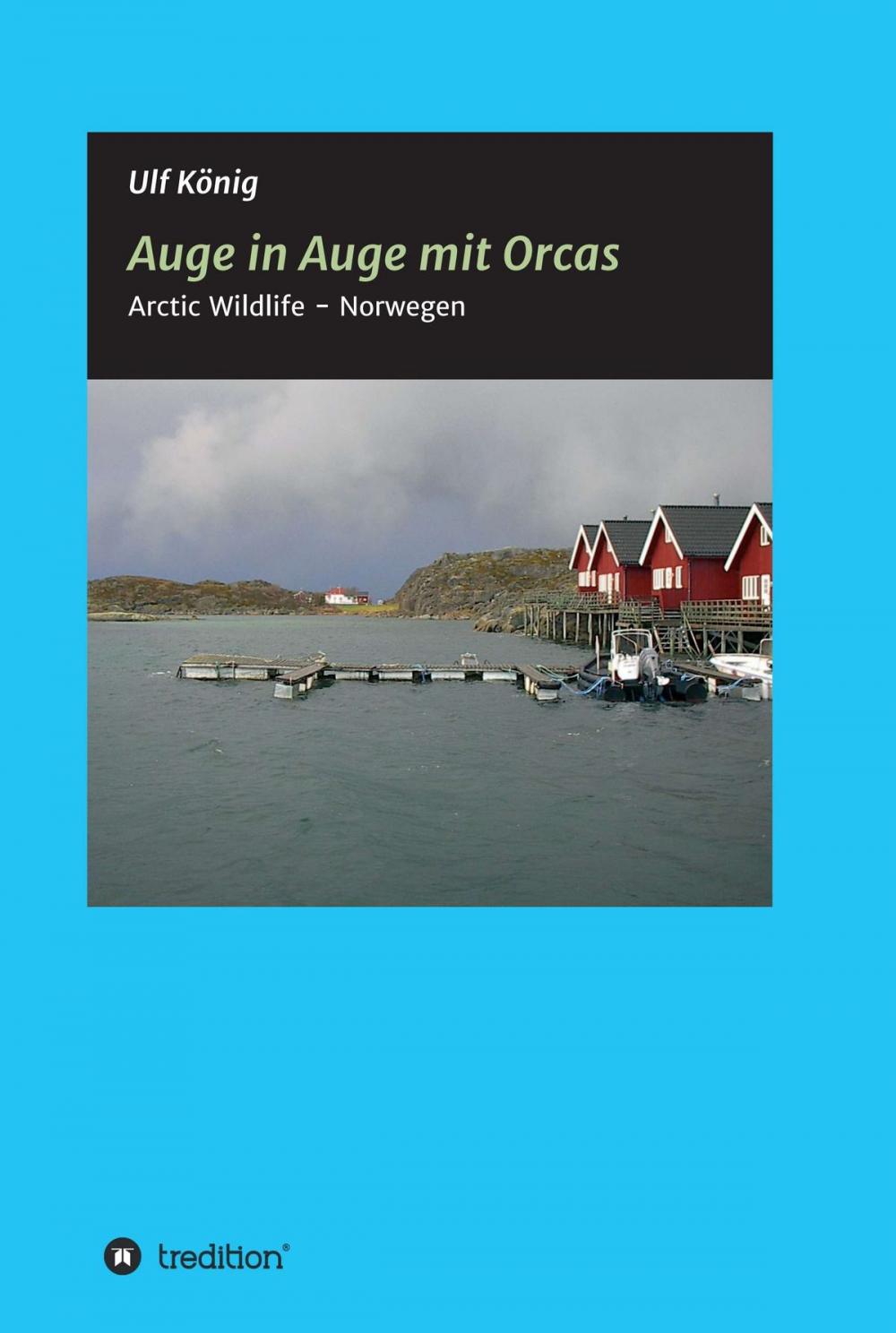 Big bigCover of Auge in Auge mit Orcas