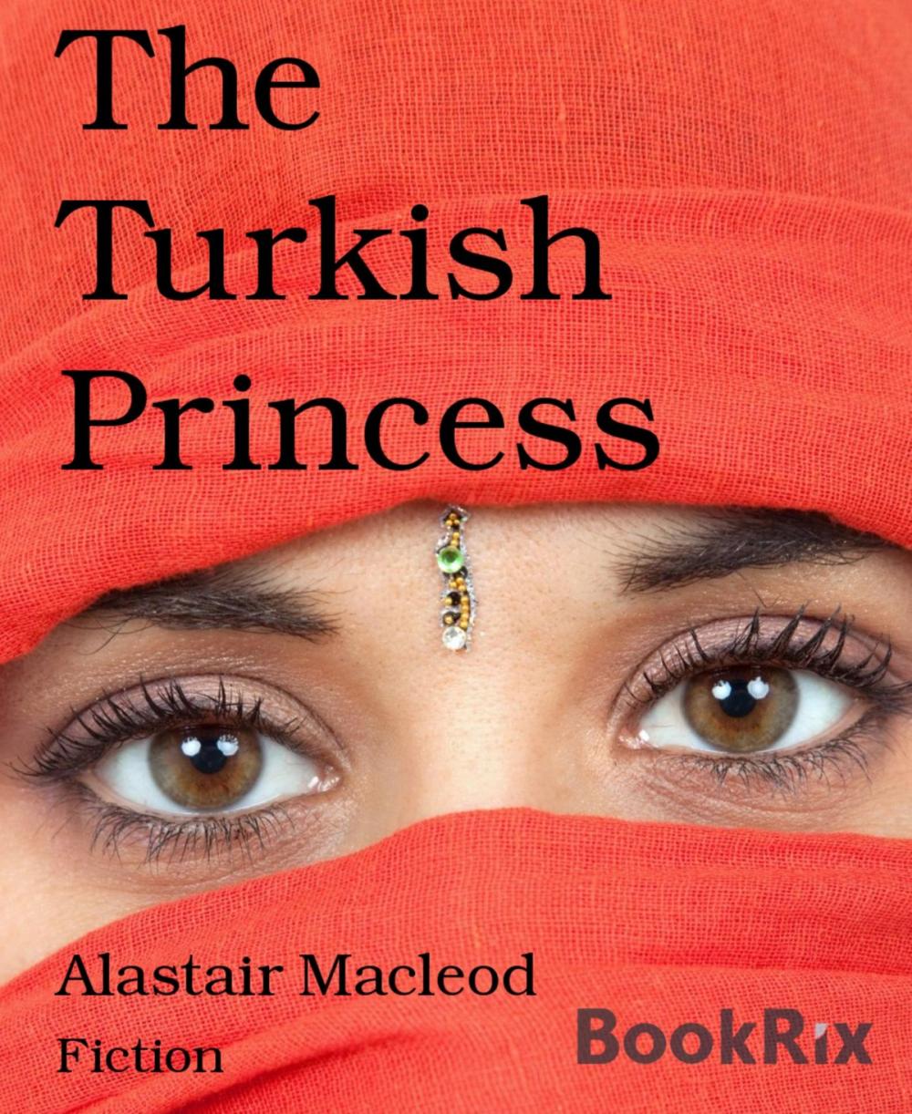 Big bigCover of The Turkish Princess