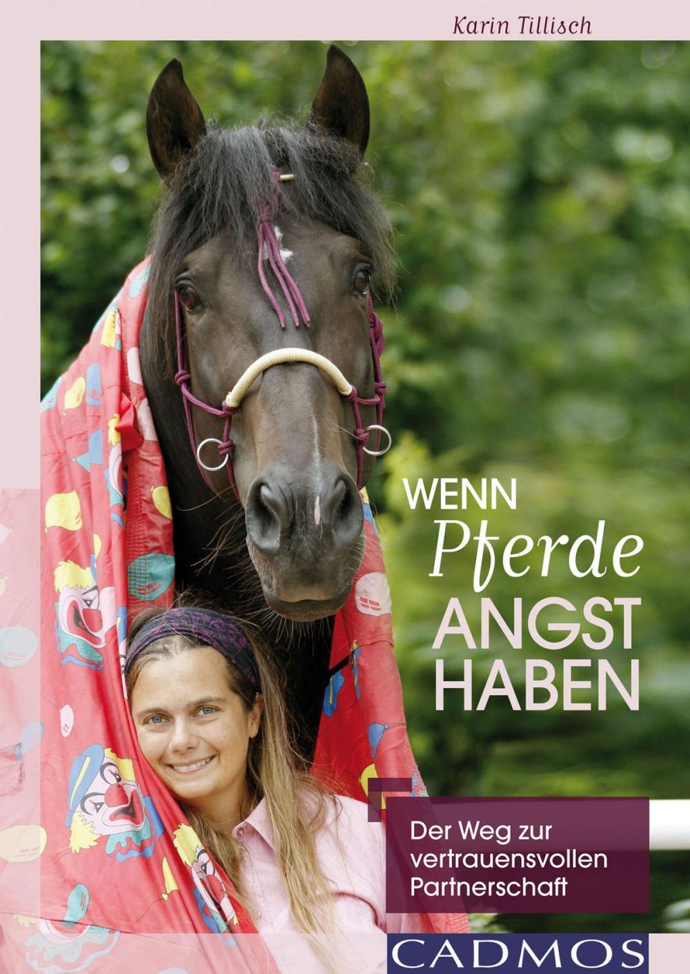 Big bigCover of Wenn Pferde Angst haben