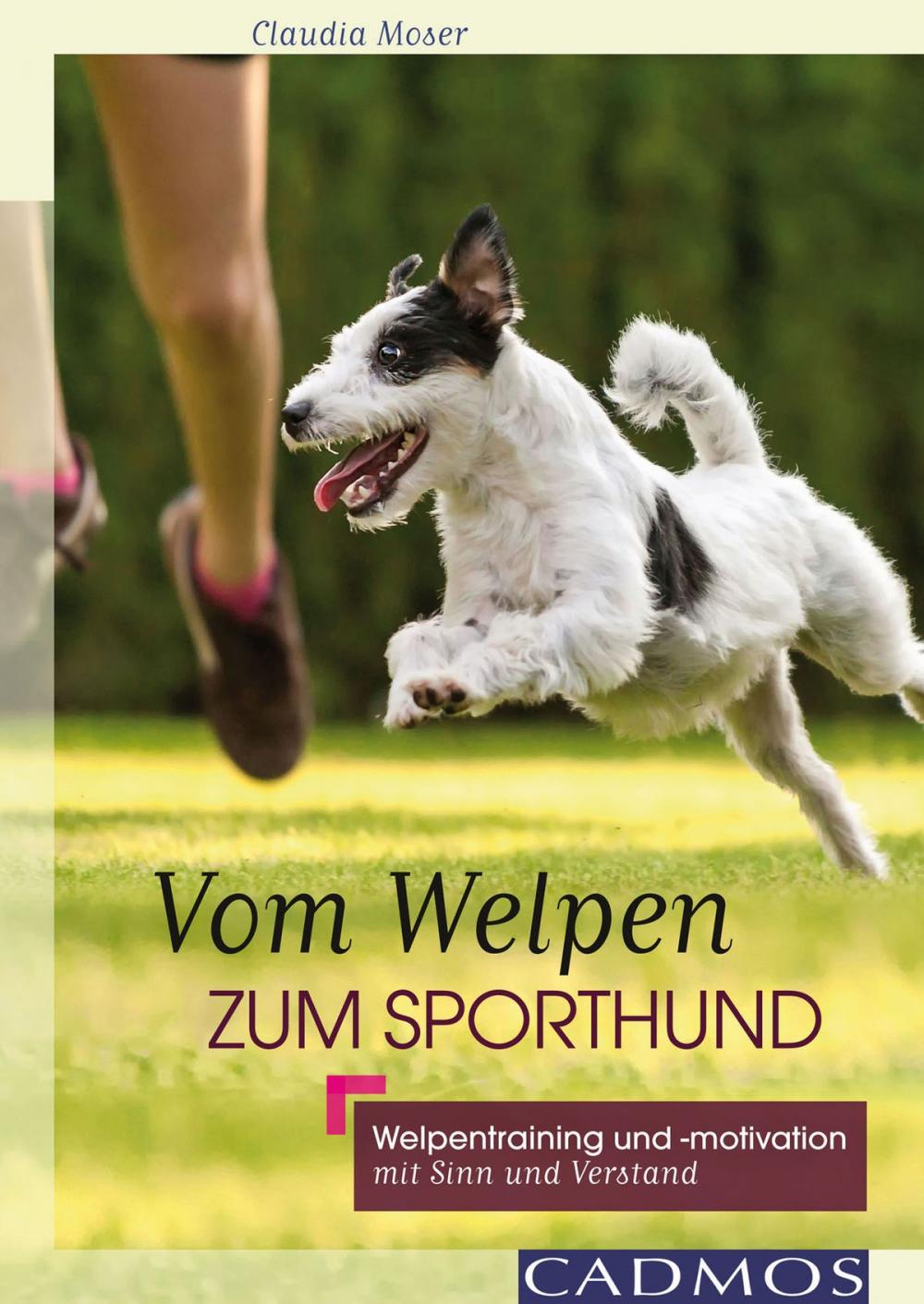 Big bigCover of Vom Welpen zum Sporthund