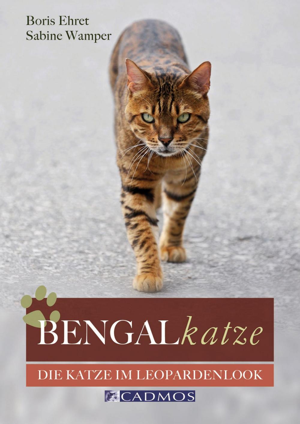 Big bigCover of Bengalkatze