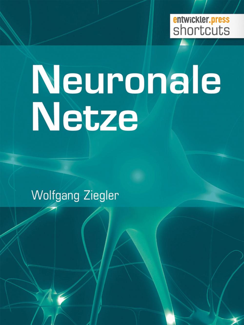 Big bigCover of Neuronale Netze