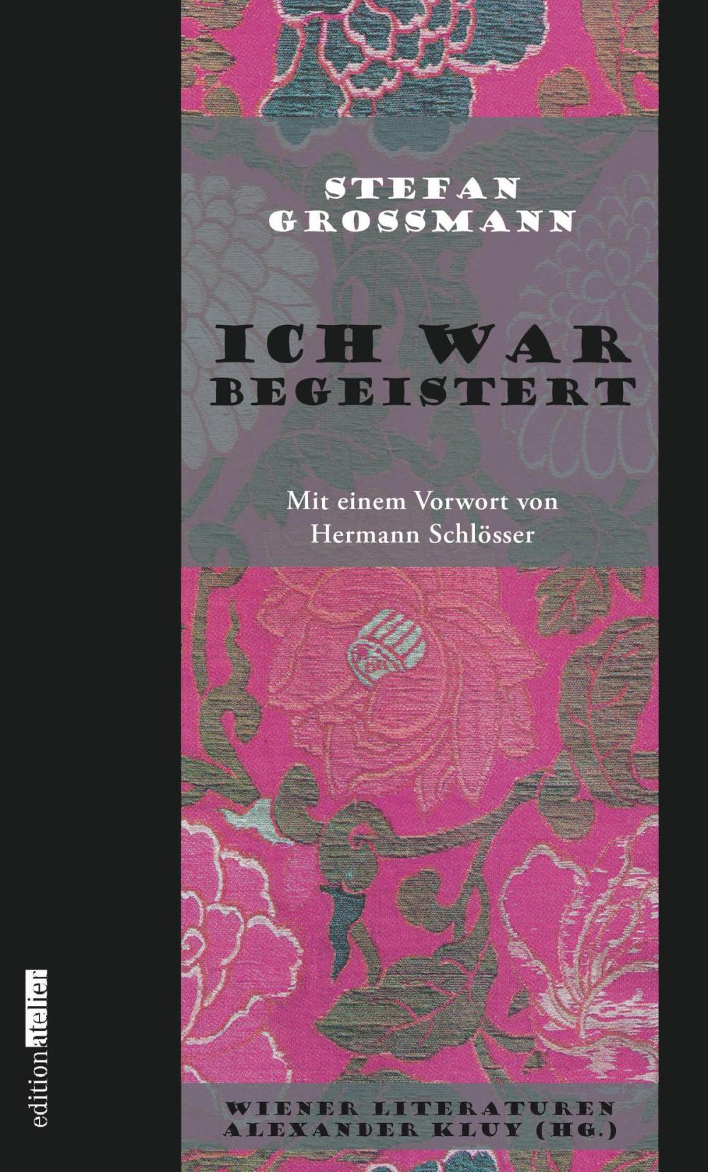 Big bigCover of Ich war begeistert