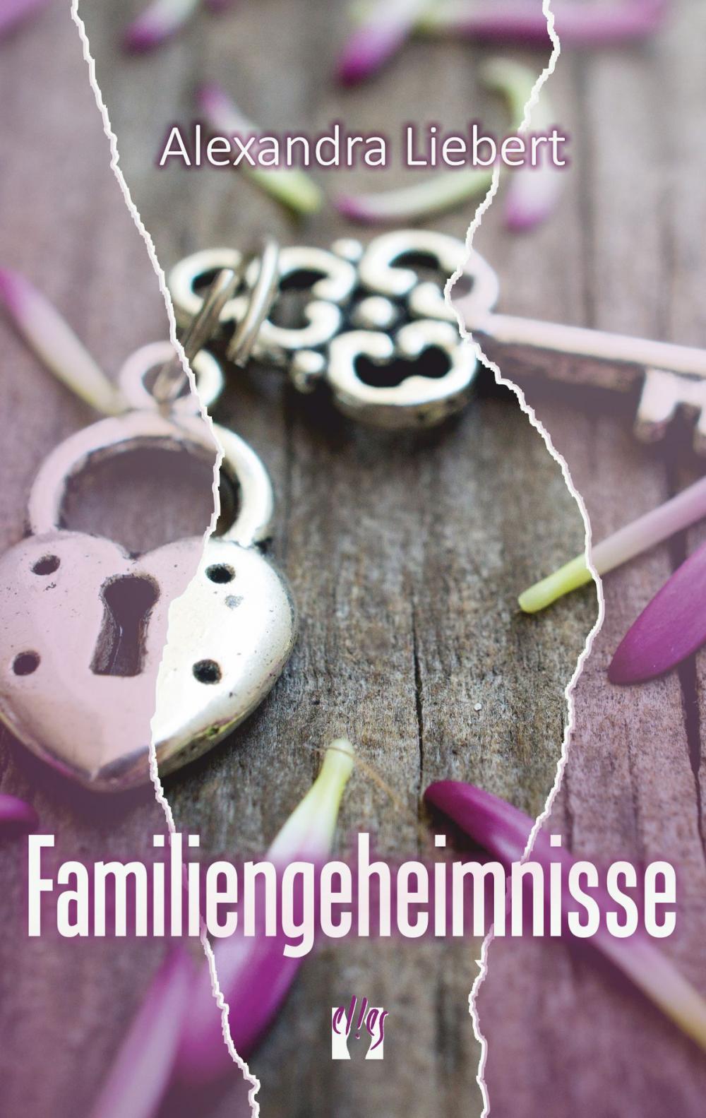 Big bigCover of Familiengeheimnisse