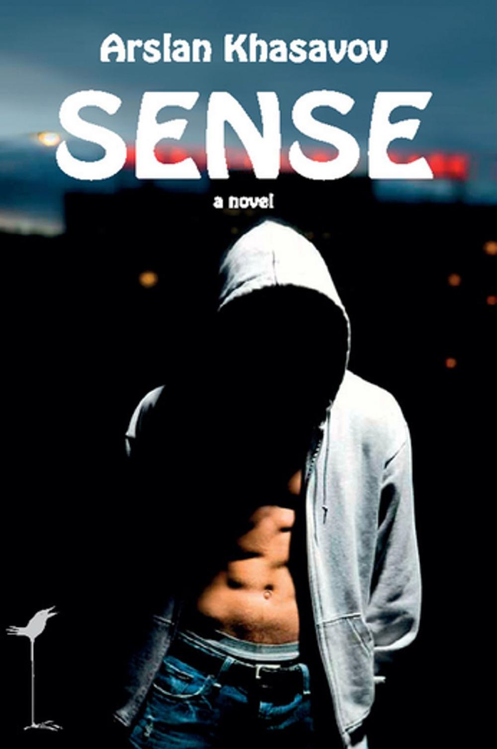 Big bigCover of Sense