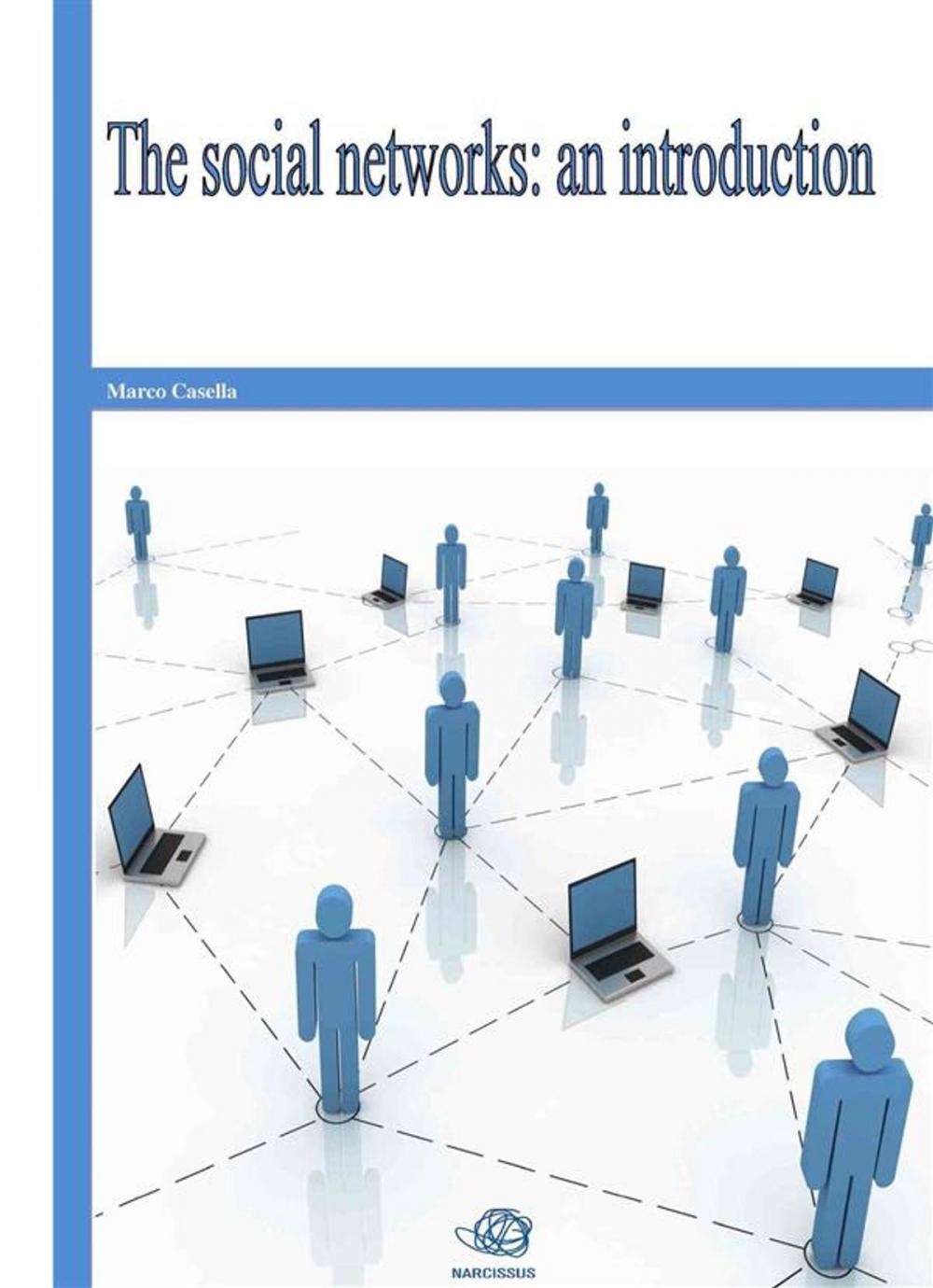 Big bigCover of The social networks: an introduction